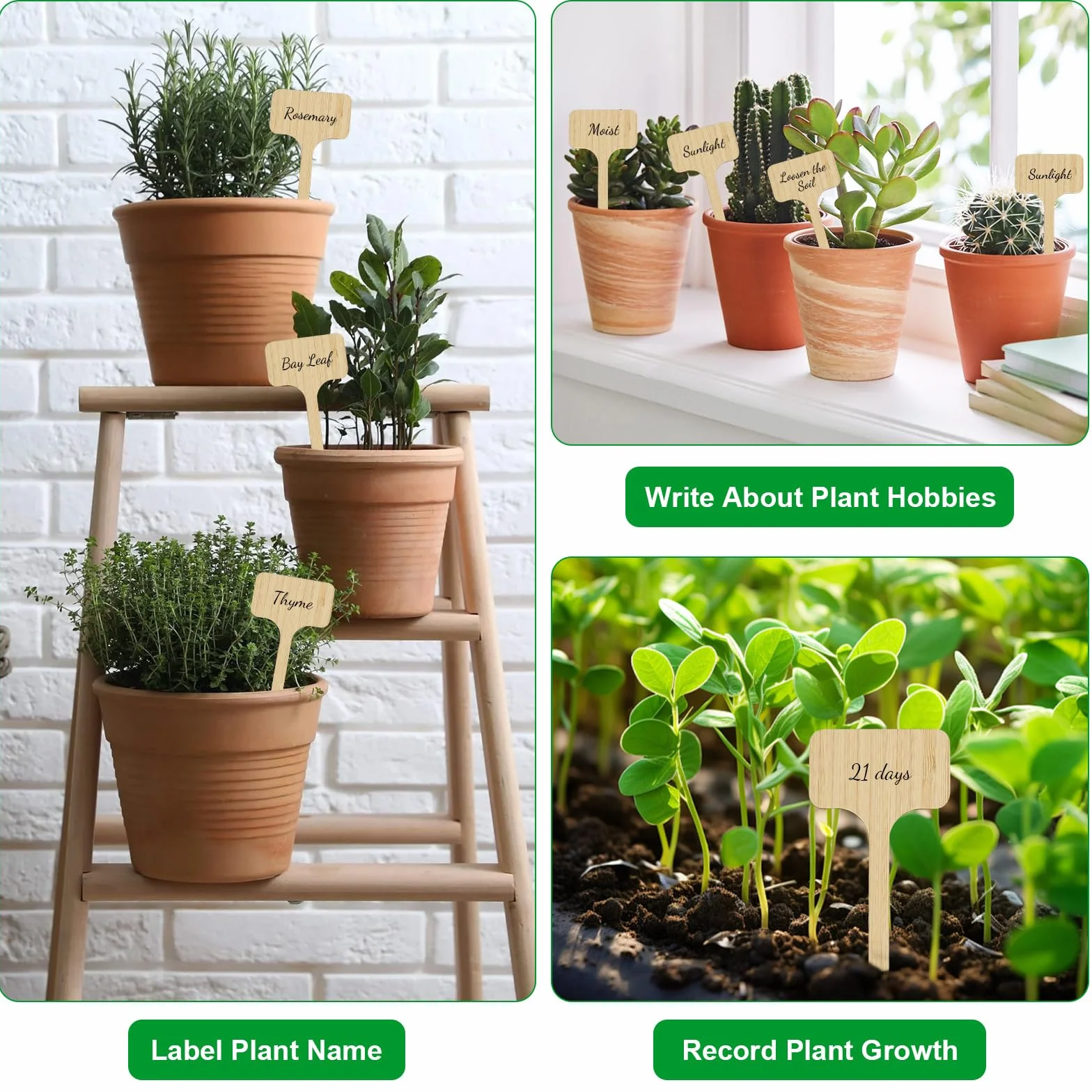 Cartel para plantas de madera con rotulador para plantas, de bambú, extralargo, en forma de T, para verduras, hierbas, flores, (altura: 18 cm x ancho: 6 cm)