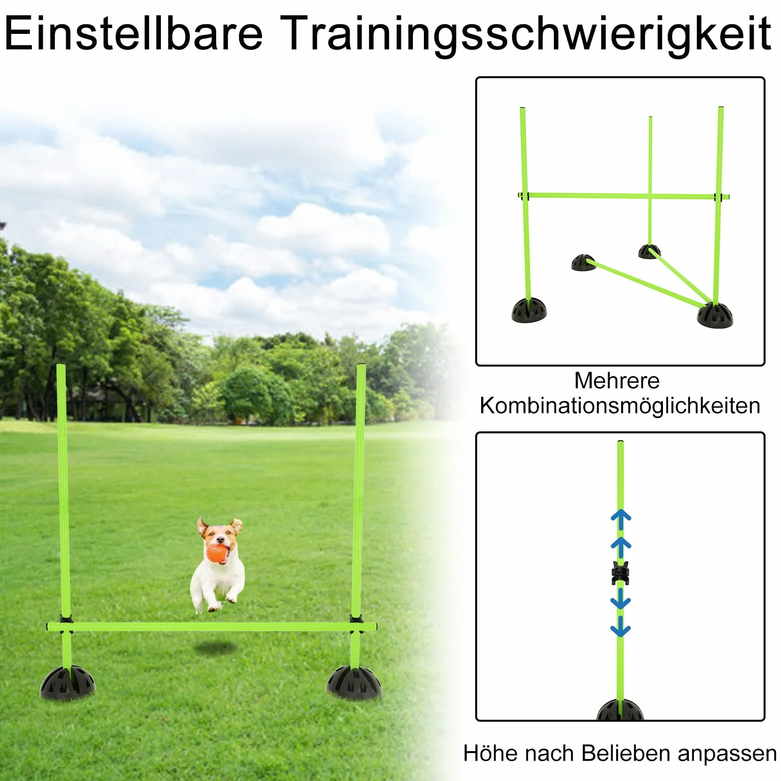 ACXIN Agility Juego de barras de entrenamiento condicional multifuncional