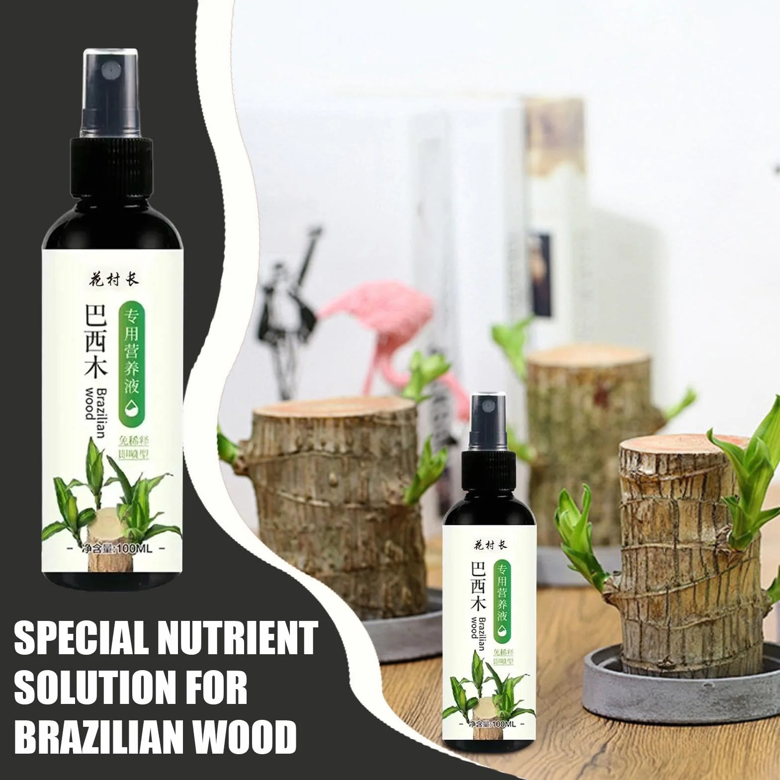 Alimento para plantas de madera brasileña, fertilizante líquido de bambú de 100ml, fertilizante para plantas de interior de madera brasileña de la suerte, fertilizante líquido para plantas de interior