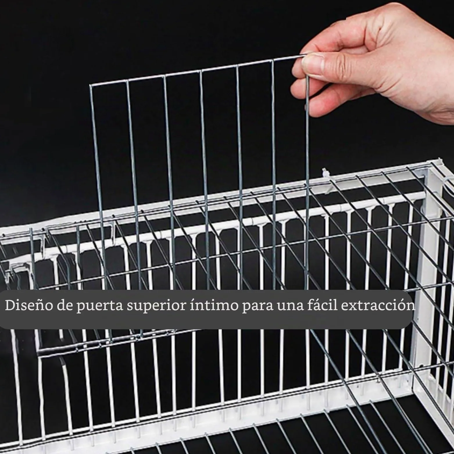 Trampa para Pájaros, Jaula Colectora Con Puerta de Gallinero de 40/60/70/90/100 cm para Palomas de Carreras, Loros, Puerta de Ventana, Suministros