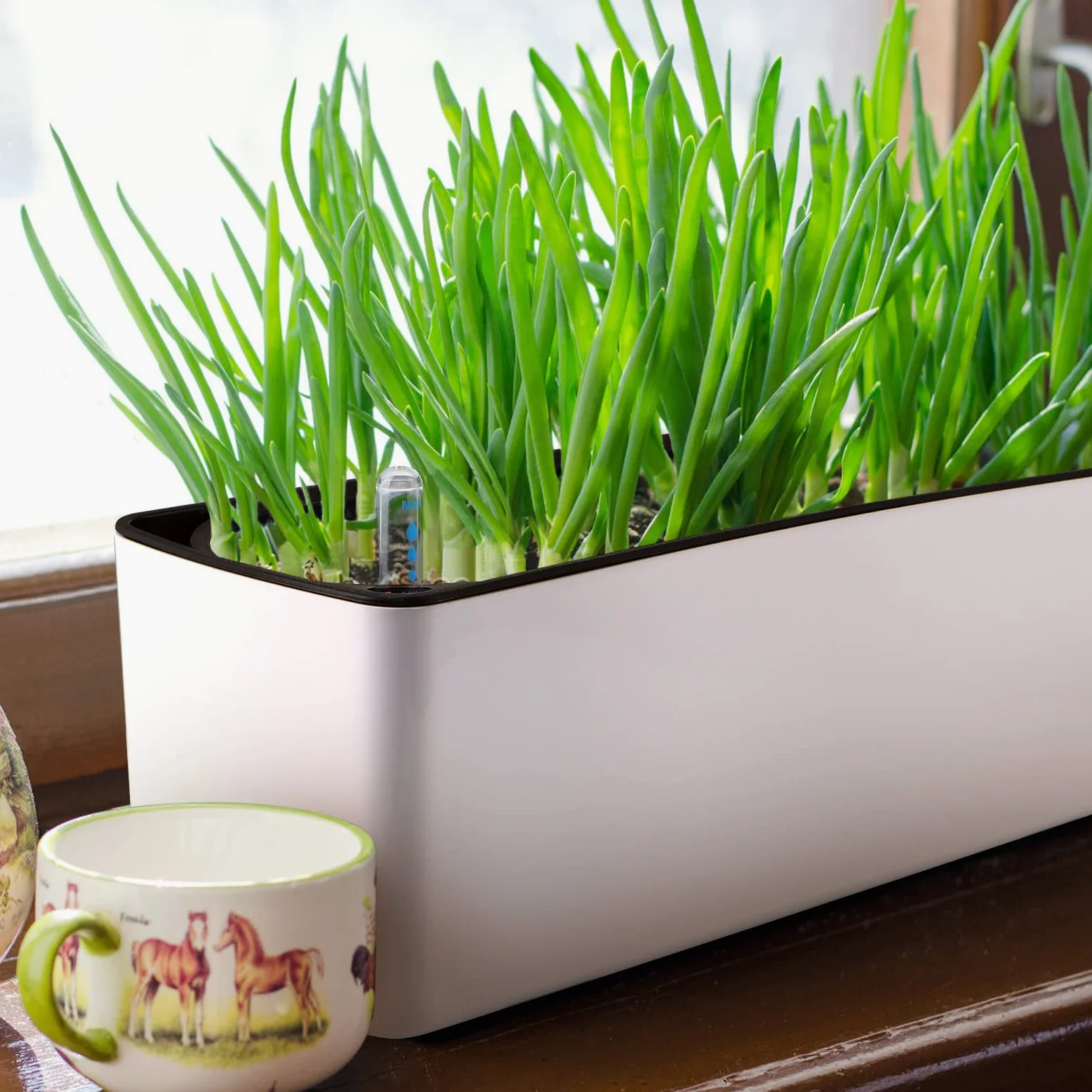 Skelang 2 Pcs Macetas de autorriego, Maceta Rectangular con indicador de Nivel de Agua, Jardinera para Plantas de Interior, suculentas, brotes, Pimienta