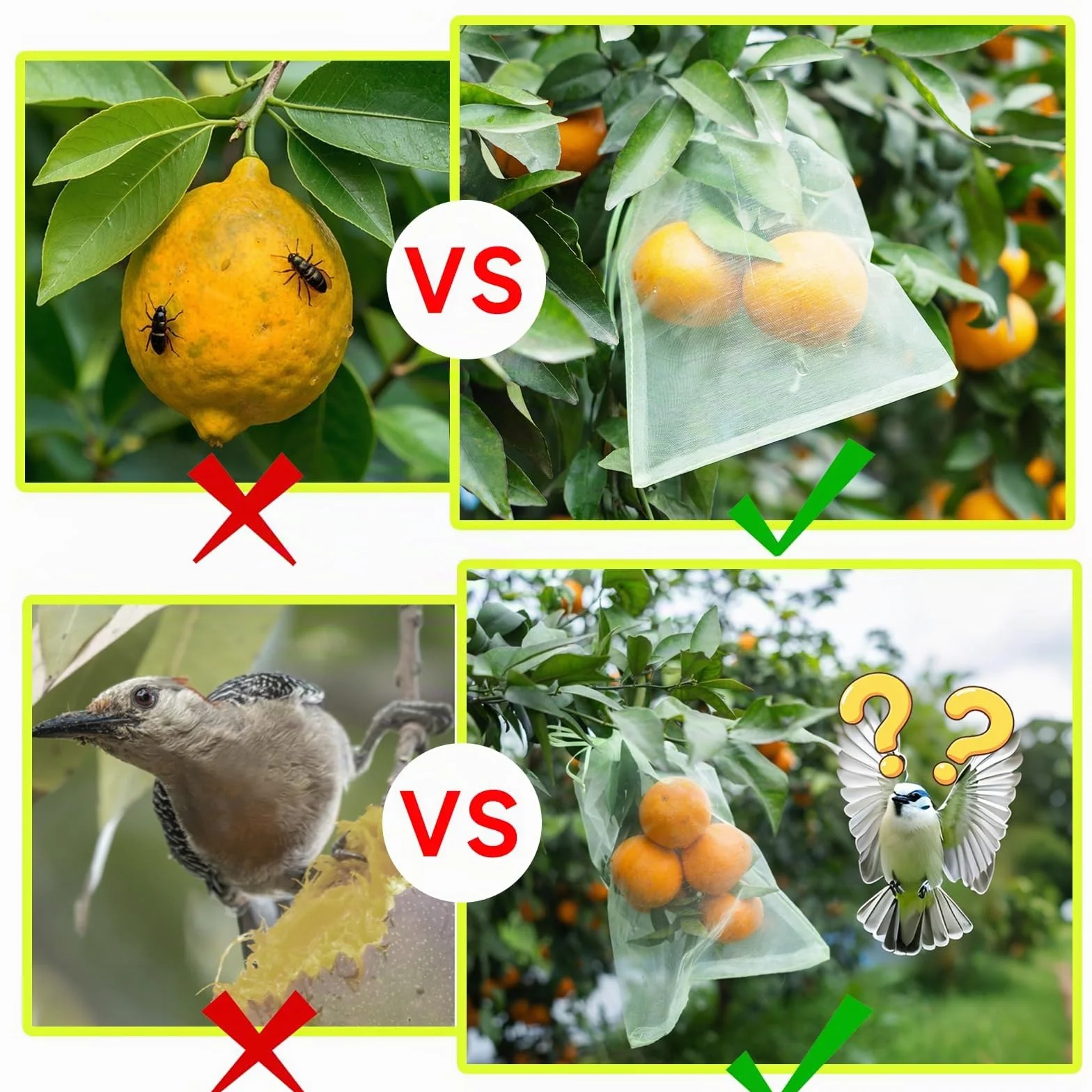 50 Bolsas Protectoras para Uvas con cordón de 15×20 cm, Bolsas de Fruta Reutilizables de Organza en Malla Verde, Red antipájaros para el huerto