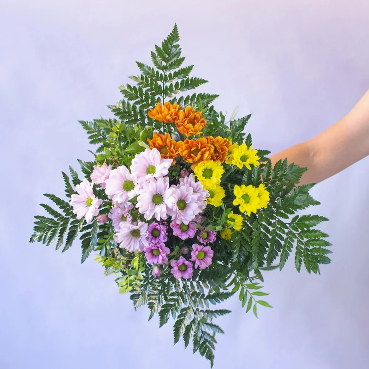 Acurrucalas® - Ramo Margaritas Variadas con Dedicatoria - Flores Naturales - Día de la madre - Flores cumpleaños - Ramo de Flores Frescas - Entrega en 24 horas de Martes a Sábado
