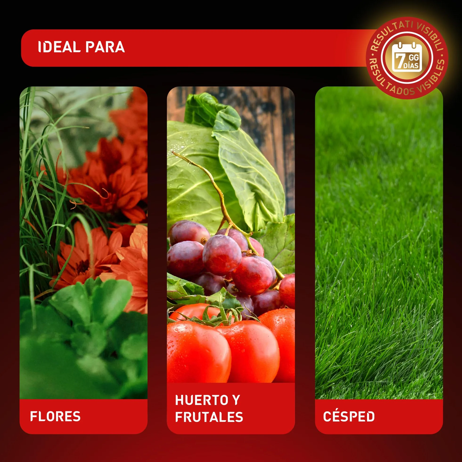 nutriONE Abono granulado para todo tipo de Plantas y Flores. Fertilizante Concentrado microgranulado Premium. Ingredientes naturales y resultados visibles en 7 días.