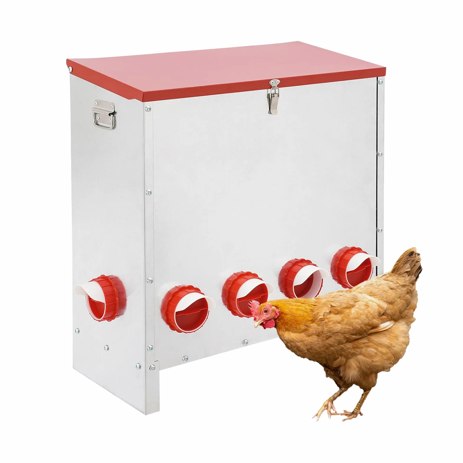 Comedero automático para pollos, comedero para gallinas, comedero para pollos, accesorio ideal para pollos, a prueba de ratas, comedero para gallinas