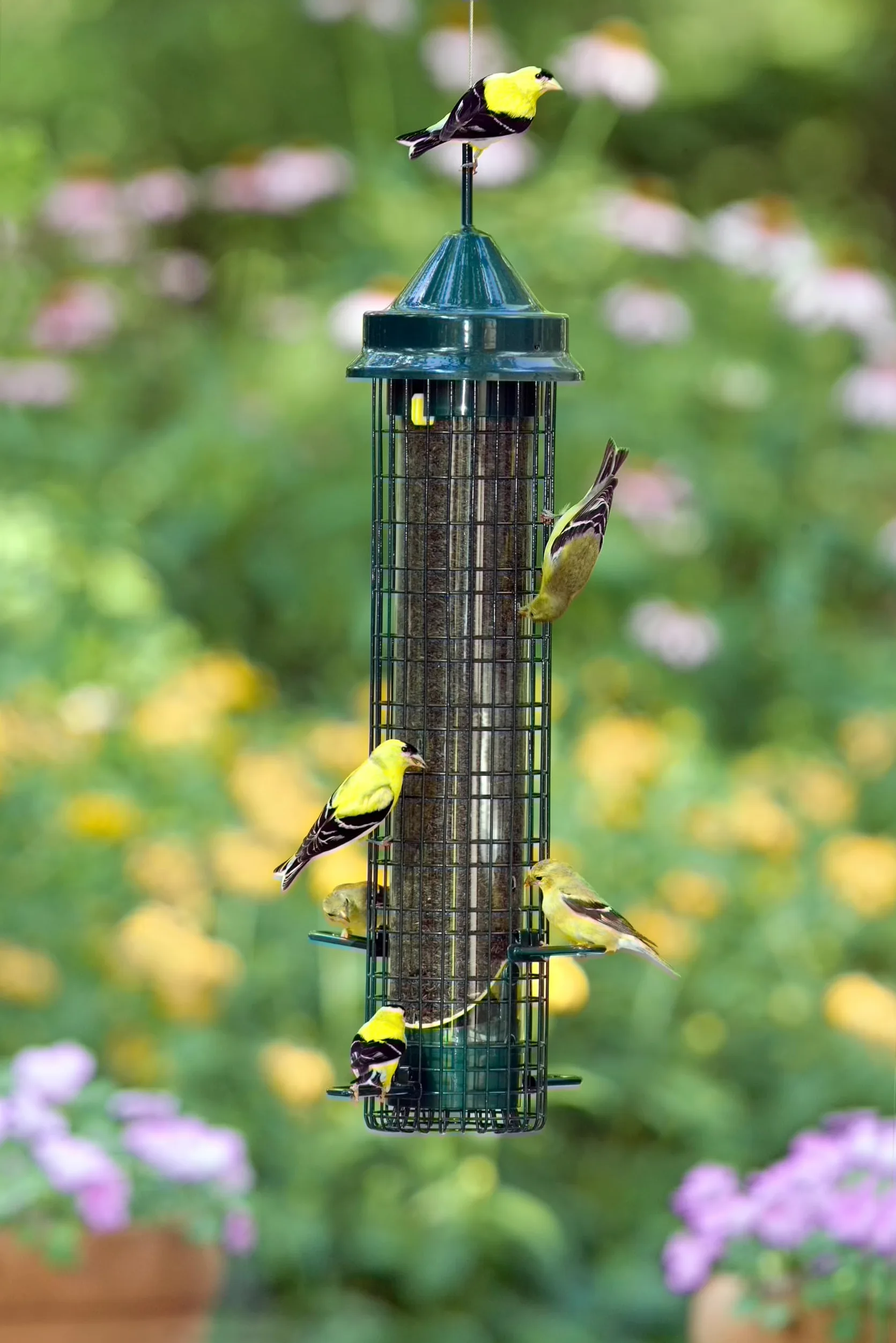 Squirrel Buster Comedero para pájaros a Prueba de Ardillas con 4 Postes de Metal y 8 Aberturas de alimentación, Capacidad de Semillas de Cardo de 2.5 Libras