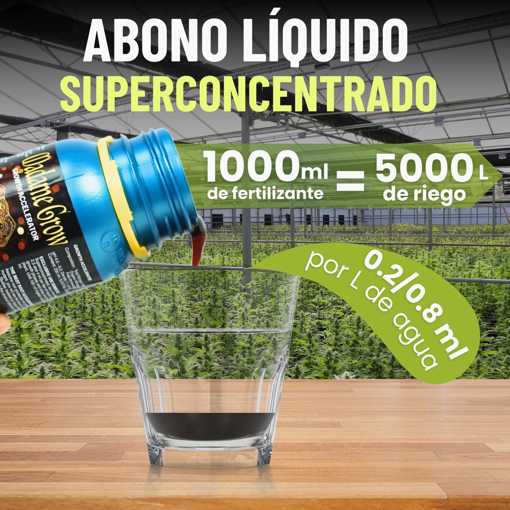 MADAME GROW abono plantas - fertilizante plantas - abono plantas verdes - fertilizante plantas verdes - sustrato plantas verdes - abono para plantas - fertilizante universal (GROWTH ACCELERATOR 1L)