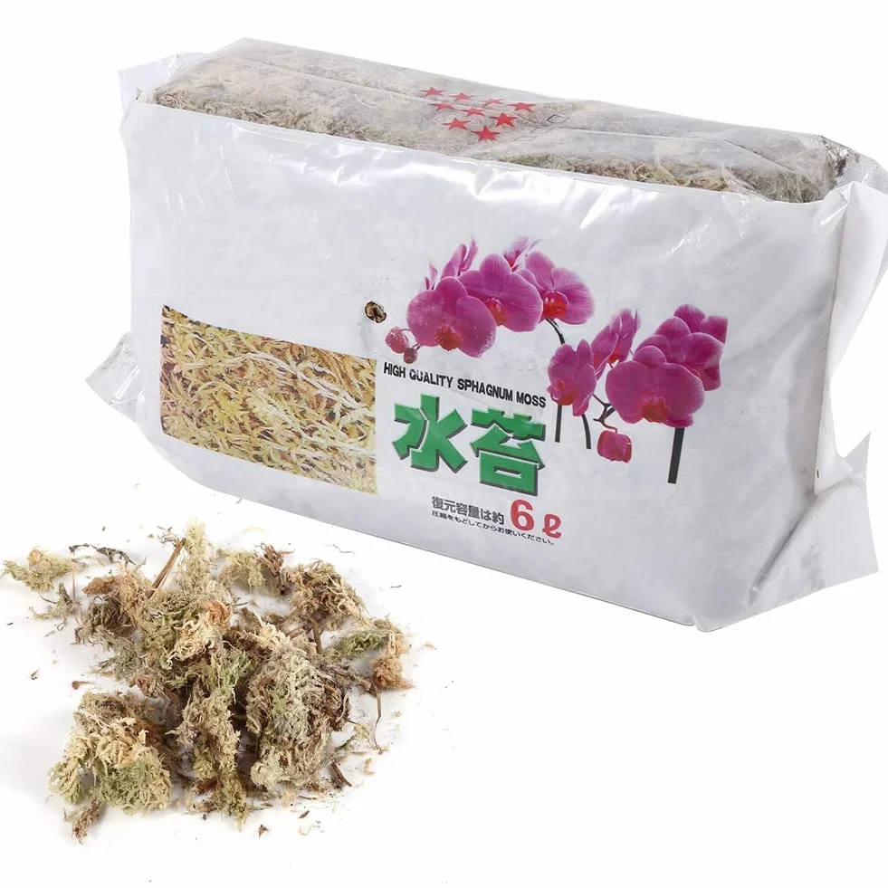 Tbest 6L Garden Sphagnum Moss Hidratante Nutrición Fertilizante Orgánico para Phalaenopsis Orchid Neuseeland Sphagnum Moos, Musgo para Hacer Coronas, Musgo Sphagnum para Coronas, Musgo