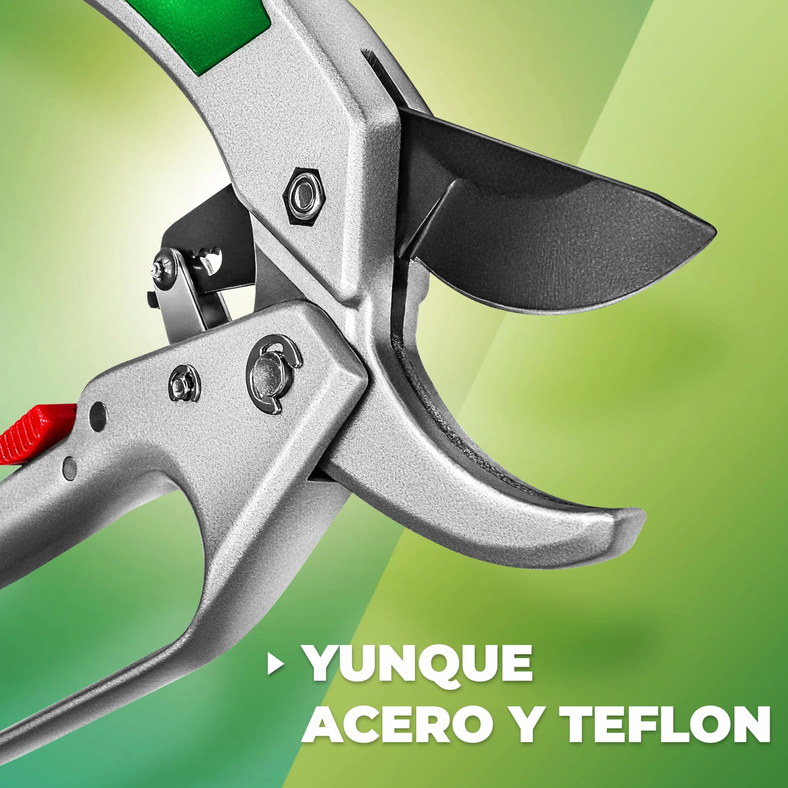GRÜNTEK Tijeras de Podar Jardín Profesional Cóndor 20cm con Trinquete, Tijera de Yunque Recolectora, Cortarramas con Hoja de Acero Antiadherente y Mangos de Aluminio