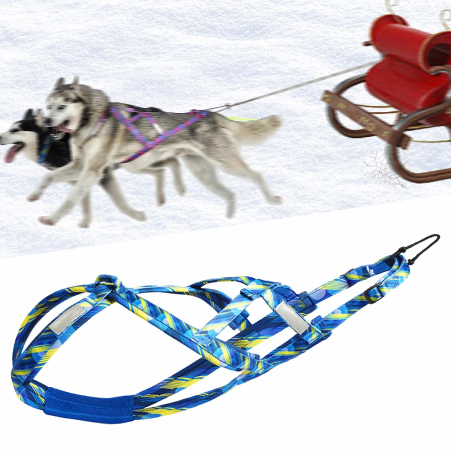 Arnés para Correr para Perros Bikejoring Skijoring L Azul