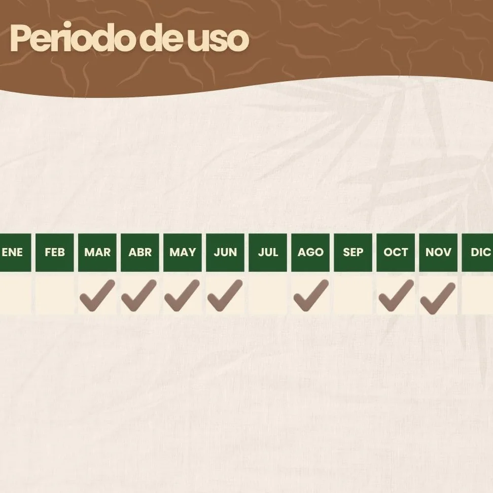 Nematodos SC contra el picudo rojo de la palmera (Para 2 a 4 palmeras - 50 millones)