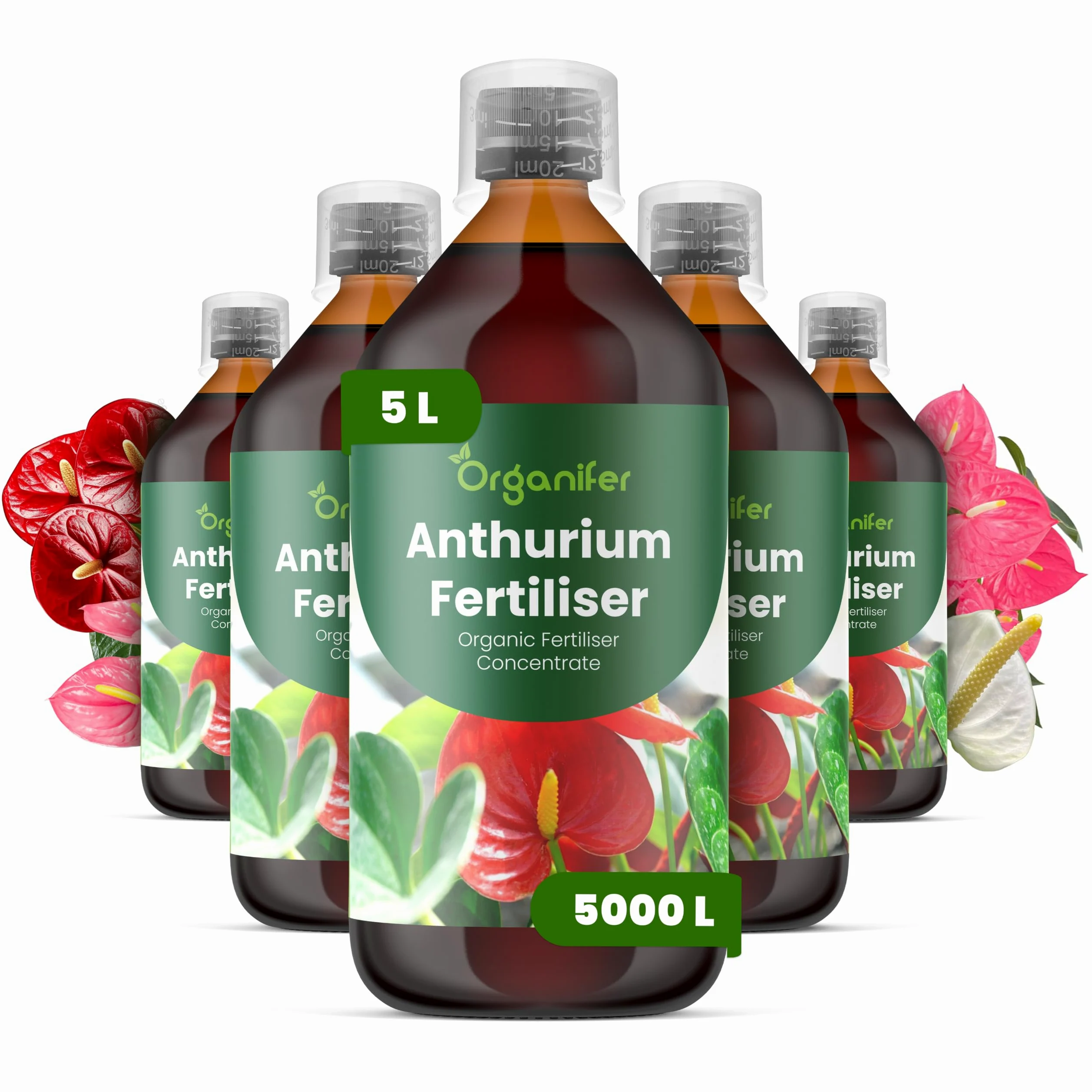 Fertilizante Líquido Para Anthurium - 5x1L - NPK 3-4-3 | Fertilizante Para Floración Abundante Y Raíces Fuertes - Favorece Tallos Y Vitalidad - Organifer