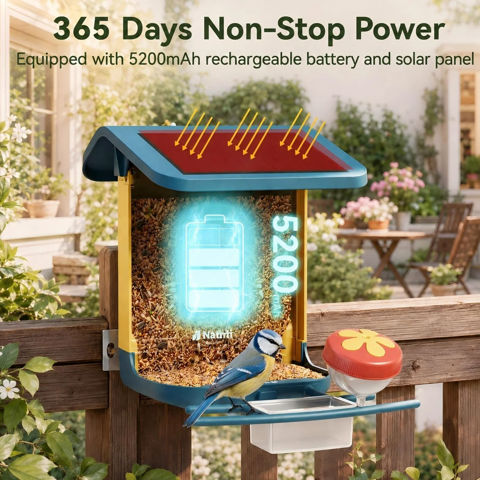 Comedero para pájaros con cámara alimentada por energía solar, 2K HD Live, AI Bird ID 1.8L
