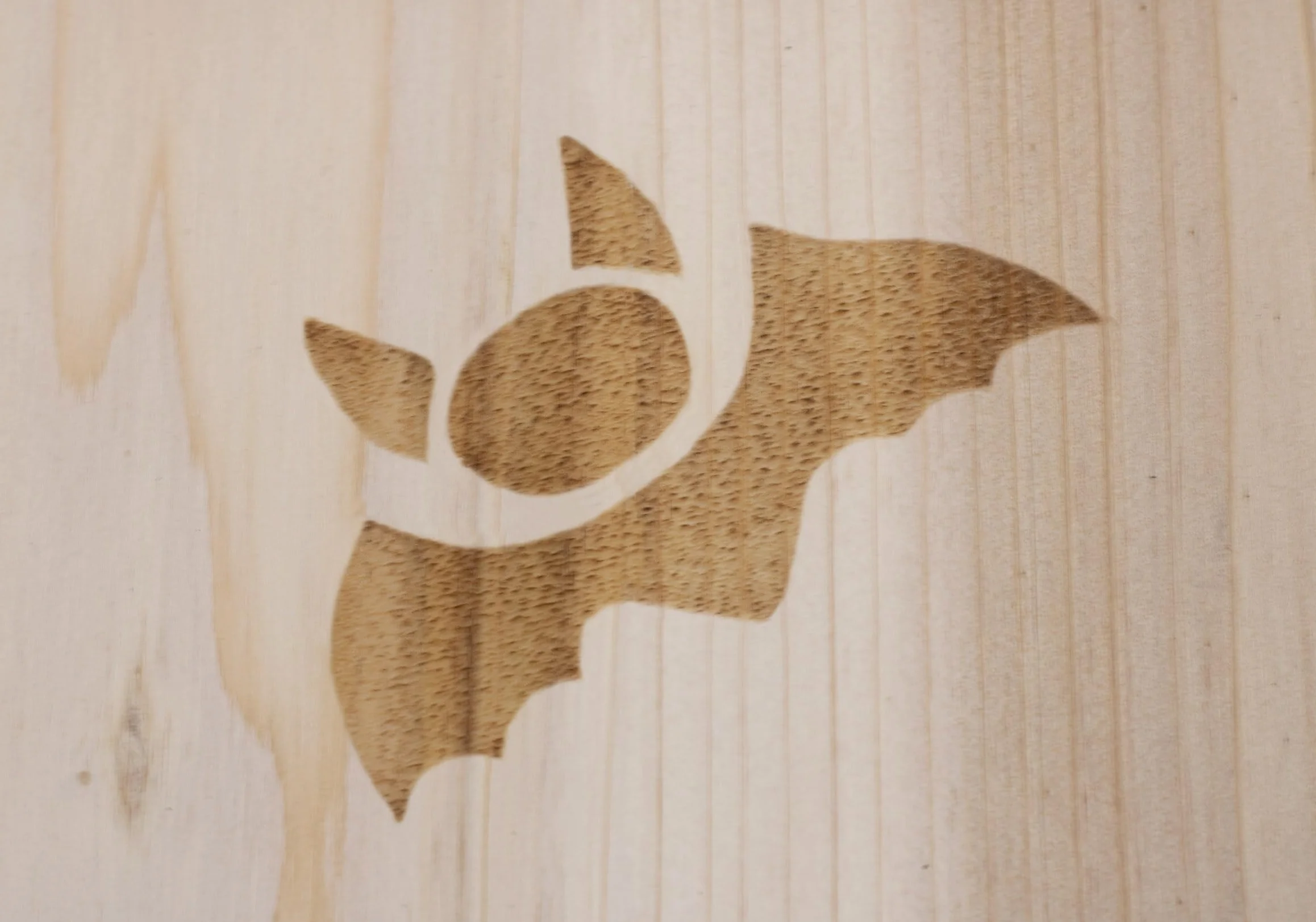 Casa de murciélagos de madera – 28 x 18 cm – Caja para colgar para murciélagos – Caja nido