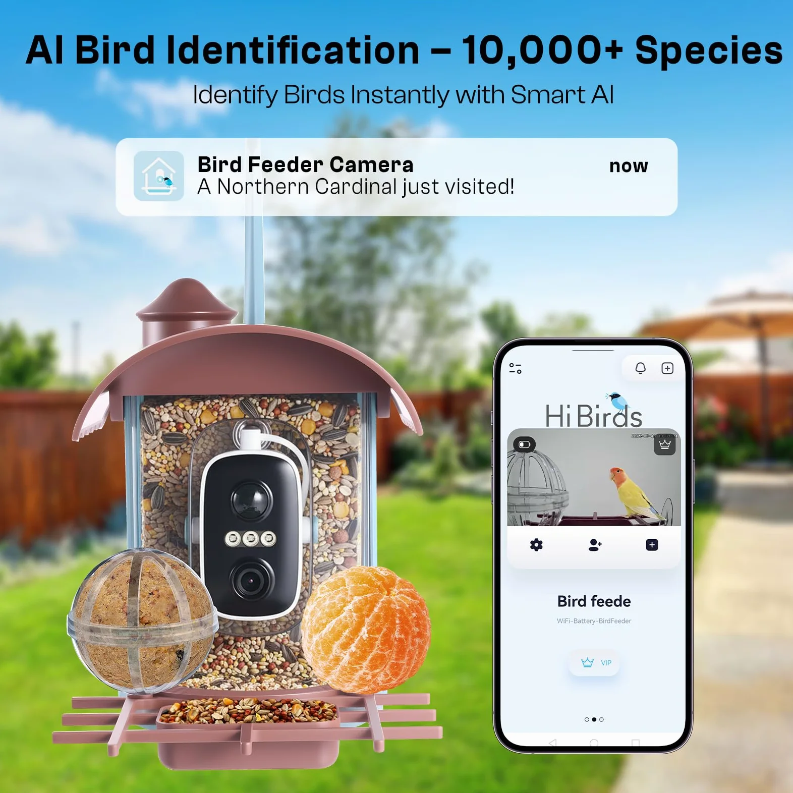 Pajarera con cámara de 4 MP, comedero solar para pájaros y comedero: vídeo/toma de fotos, identificación de IA, detección de movimiento, notificación instantánea, visión nocturna, WiFi de 2,4 GHz
