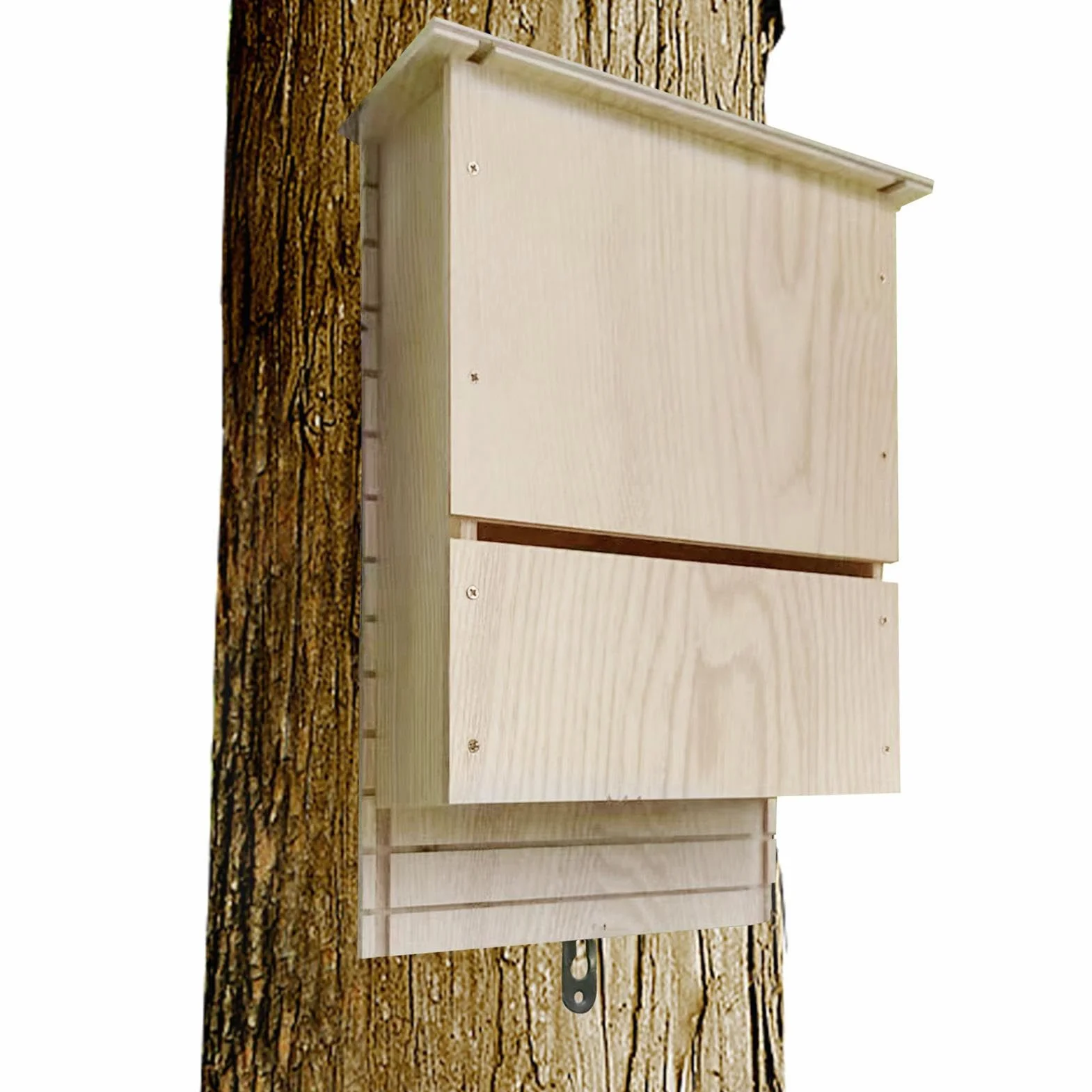 murciélagos al Aire Libre - Refugio Madera para Colonia murciélagos, murciélago Madera Reutilizable para hibernación, casa Caja murciélago decoración Madera