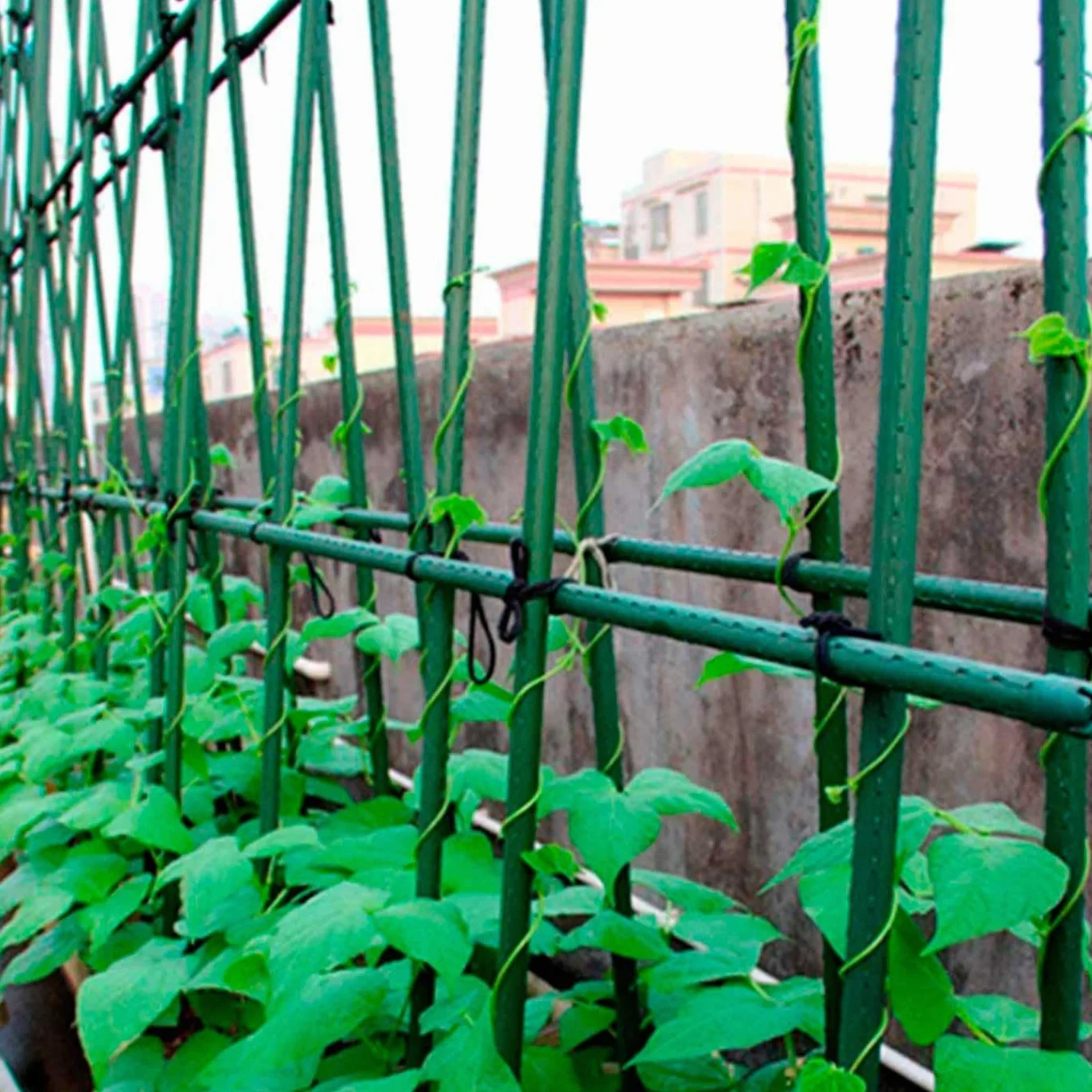 Tradineur - Pack de 12 tutores de Acero plastificado para Plantas de 1,1 x 120 cm, Ideal para el Cuidado del jardín. Varillas para el Cuidado de Plantas y arboles