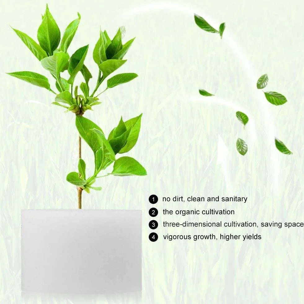 Viagasafamido 50 Unidades Esponjas Hidropónicas para Cultivo Sin Suelo - Esponjas para Plantones de Vegetales, Jardinería Y Germinación (44 X 30 Mm)