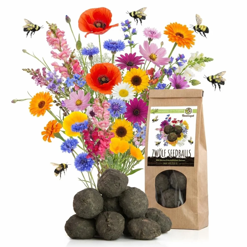 12x Bombas de semillas para un colorido pasto de abejas - Semillas de flores silvestres coloridas y ricas en néctar para abejas y mariposas