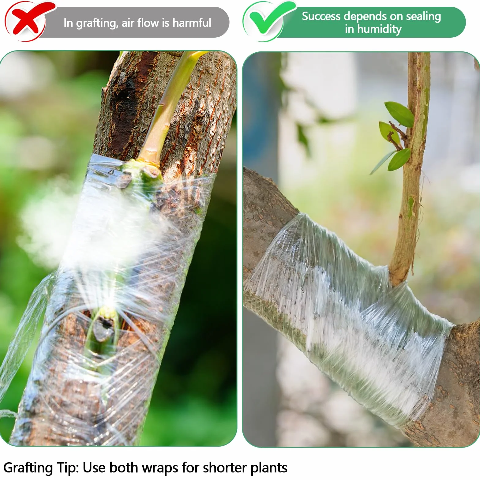 Cinta de Injerto 5Pcs Cinta para Injertar Cinta de Injerto Estirable y Transparente con 10Pcs Ataduras para Injertos de Árboles Frutales y Reparación de Ramas en Viveros y Jardines
