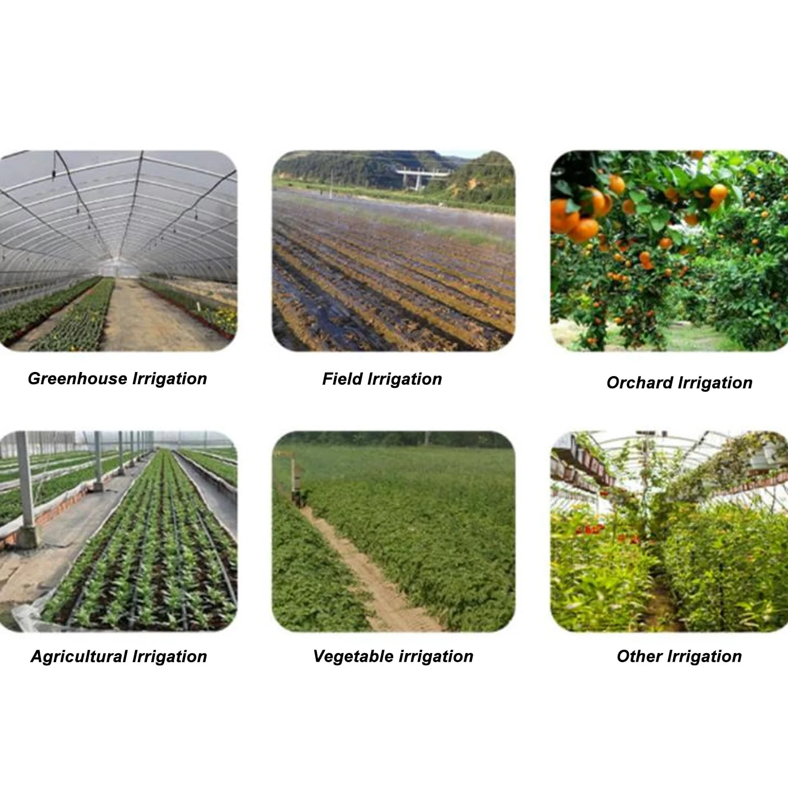 Irrigación Inyectores de fertilizantes Venturi, Kit de irrigación de jardín Inyector de fertilizante Inyectores de fertilizantes Dispositivo Juego de tubos de filtro Inyectores de mezcladores de