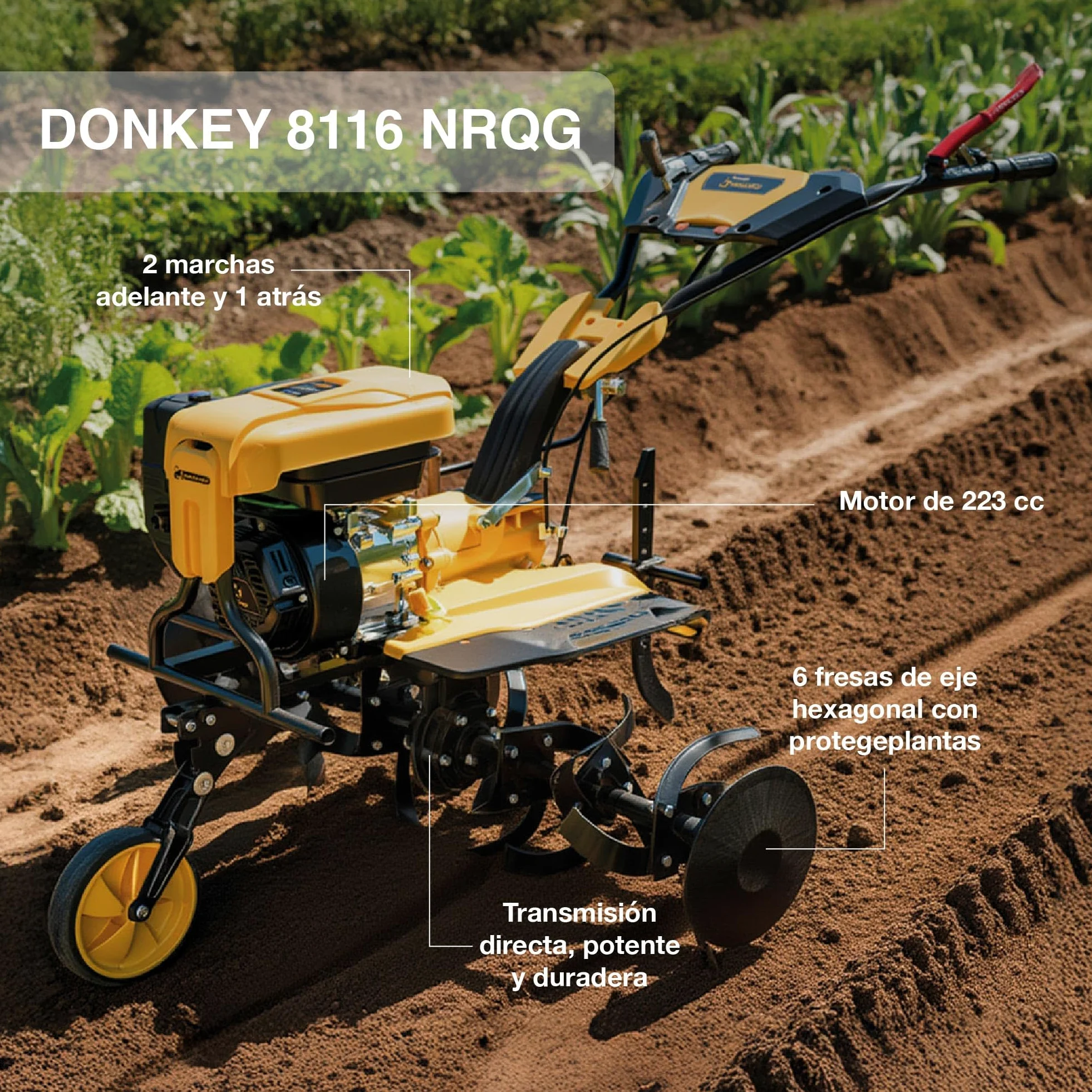 GARLAND Donkey 8116 NRQG-V24 - Motoazada Gasolina 4T 225cc, 116 cm Ancho de Trabajo, transmisión Directa, 6 Fresas con Eje Hexagonal, Discos protegeplantas, labranza Profesional.