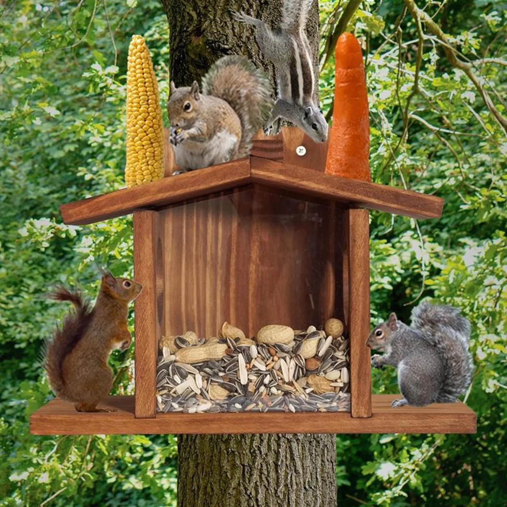 Casa de Ardillas, comederos de Ardilla para el Exterior, casa de Ardillas, comedero para pájaros de Madera fácil de llenar, comedero para pájaros Visible con Panel extraíble para maíz, maní, Suet, co