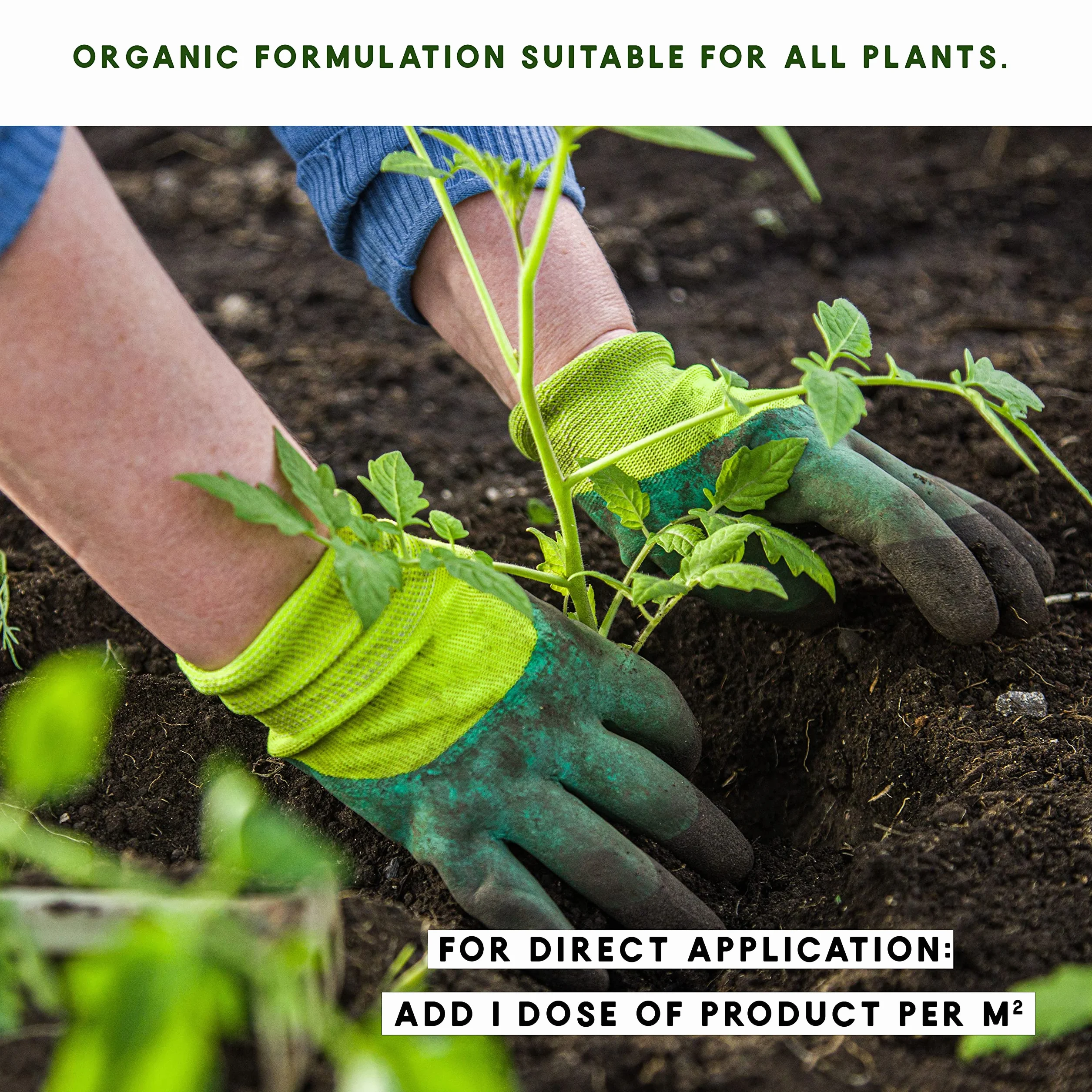 Abono Ecológico de Sales de Epsom (Sulfato de Magnesio). Fertilizante rico en magnesio para todo tipo de cultivos, tomates, cítricos, frutales, rosales y plantas de exterior e interior (2,5 kg)