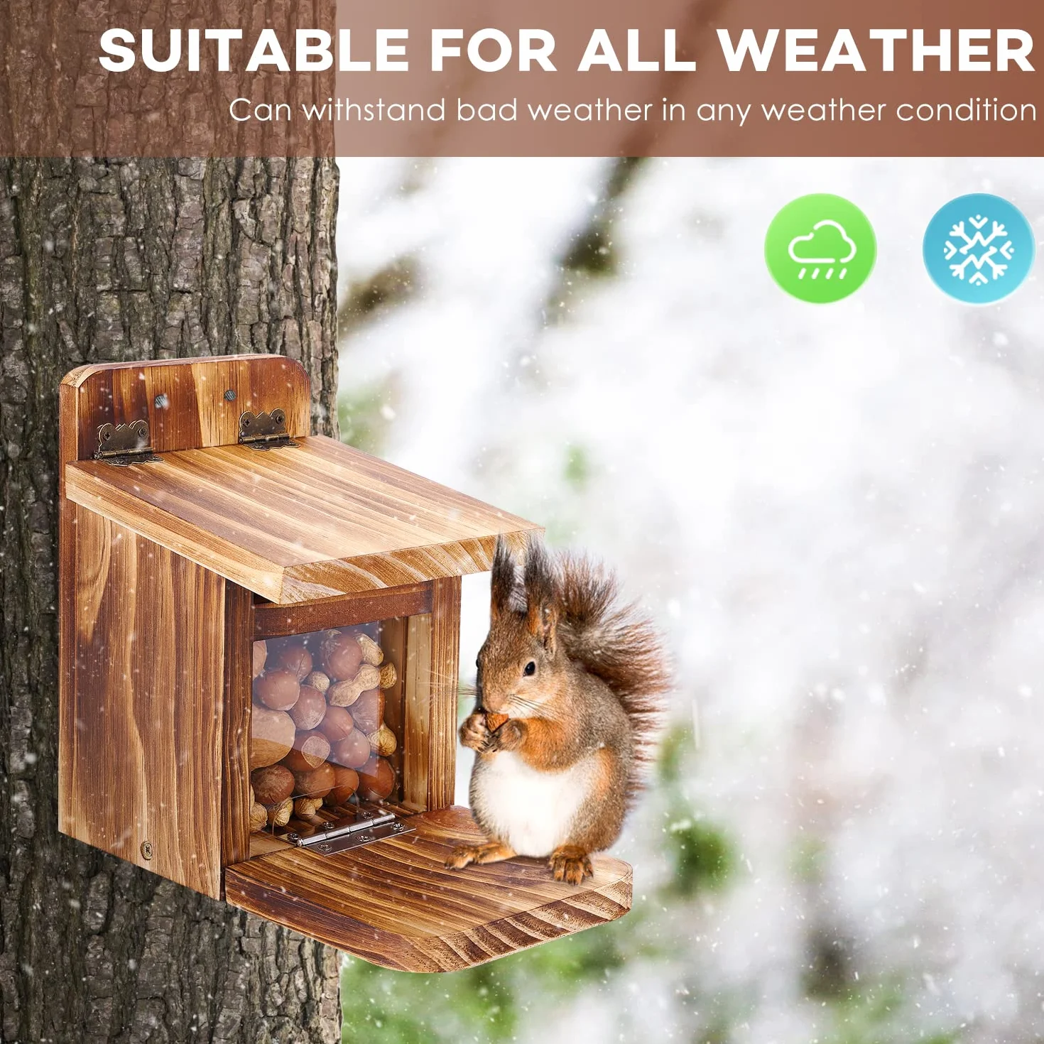 MIXXIDEA Caja de alimentación de ardillas de madera, resistente casa de alimentación de ardillas con grosor de madera de 1,5 cm, no requiere montaje, para patio trasero y jardín exterior (1 unidad)