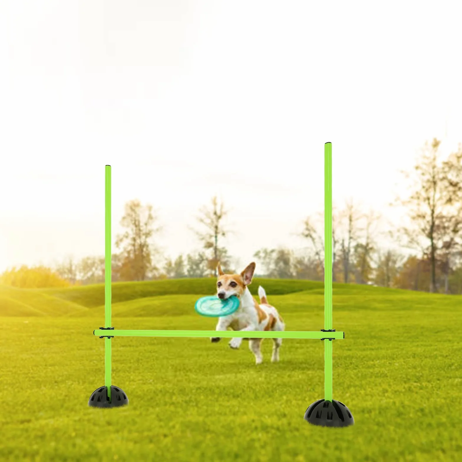 ACXIN Agility Juego de barras de entrenamiento condicional multifuncional