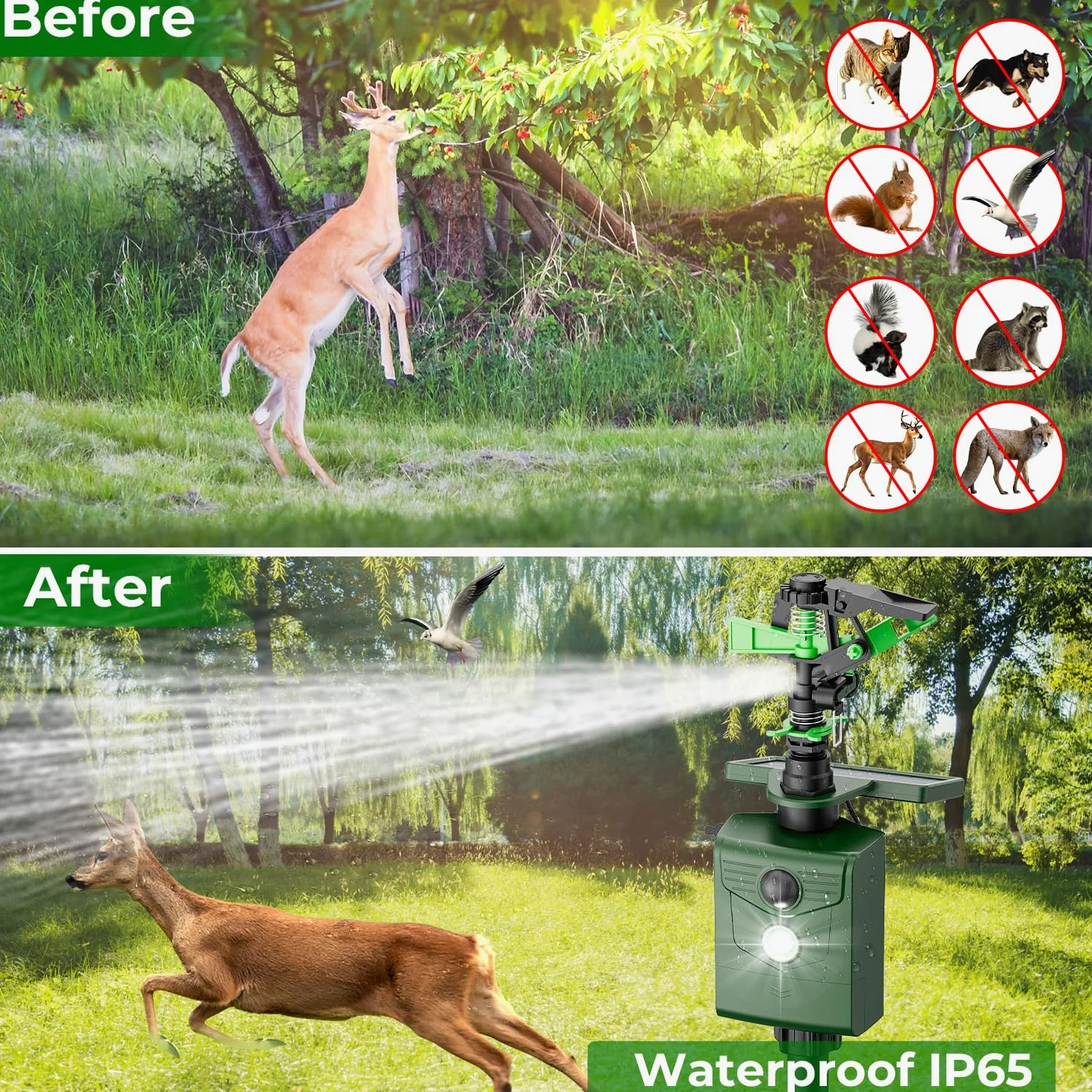 Ahuyentador de animales por chorro de agua, ahuyentador de aves, para jardín y estanque, carga USB/carga solar en dos modos, detector de movimiento PIR, ahuyentador de pájaros