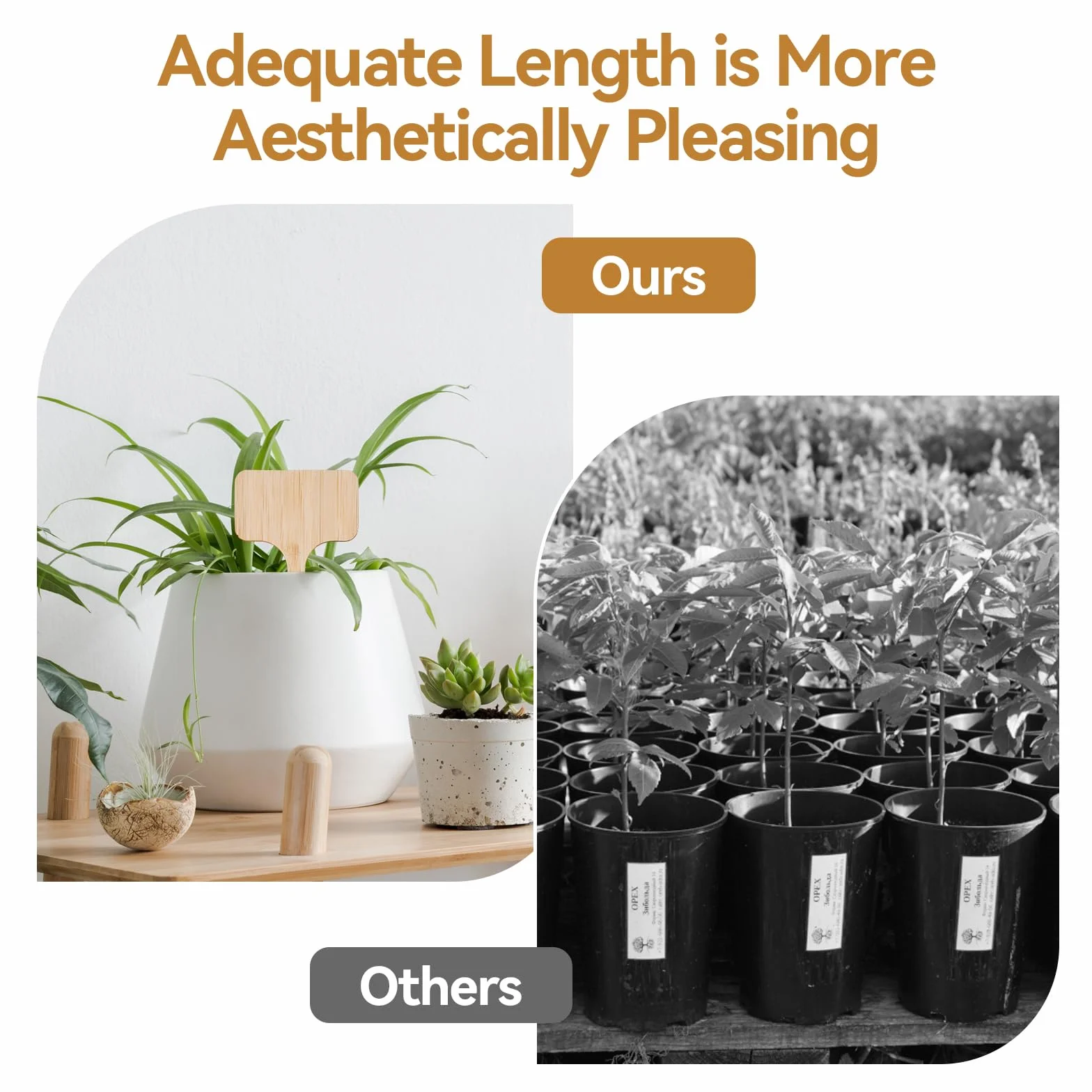 30 Piezas Etiquetas Plantas Bambu con Rotulador de Doble Punta, 18 × 6 cm Etiquetas de Plantas en Forma de T, Carteles Huerto Exterior Pequeños para Semillas Hierbas Vegetales Flores