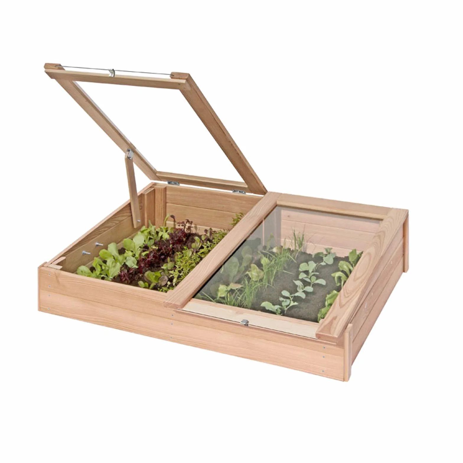 Semillero, cajonera para cultivo de madera de alerce, mini invernadero (119 x 80 x 30 cm de Gartenpirat®