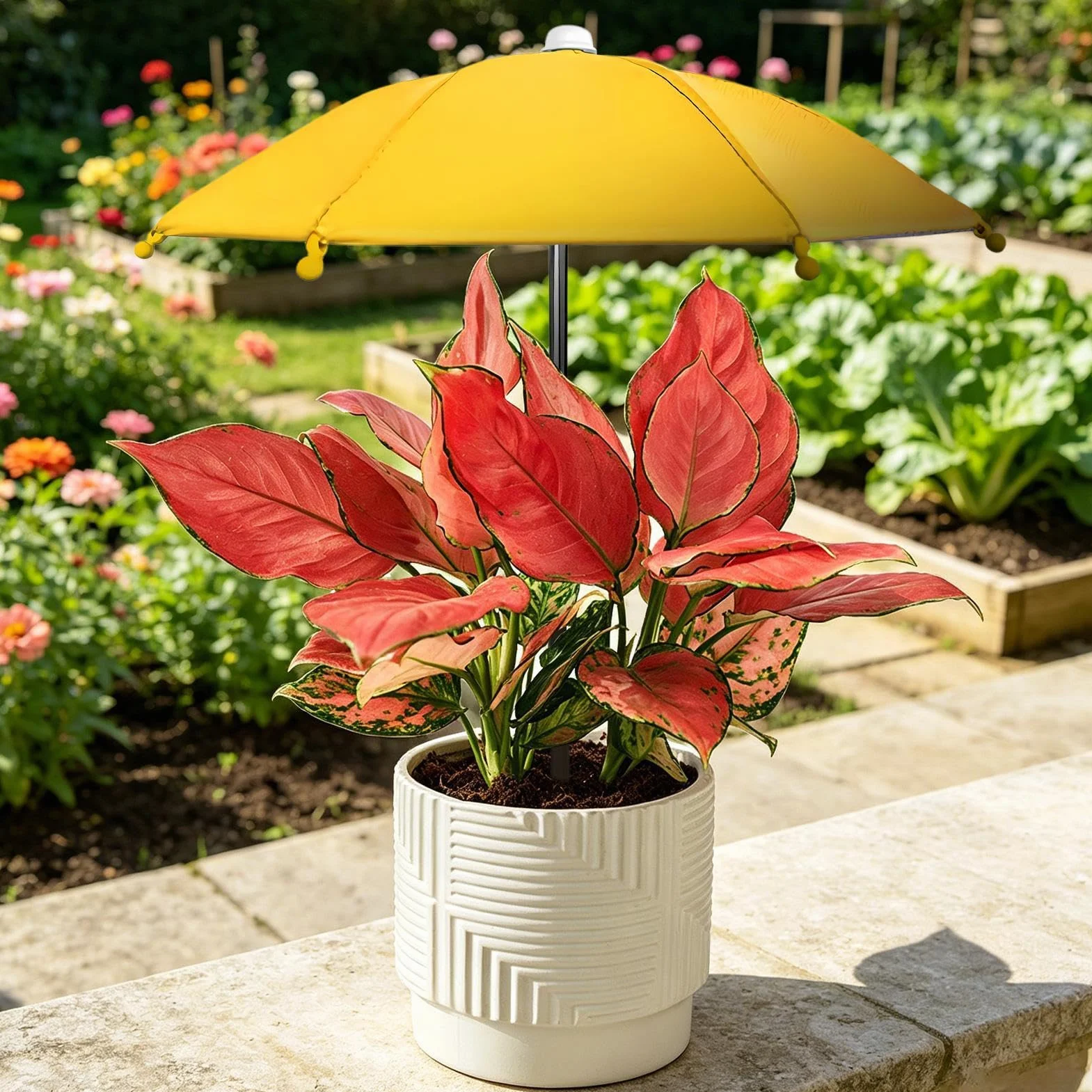 Paraguas para Plantas Exterior | Sombra sombrilla para Plantas en macetas y parterres jardín | Pequeñas sombrillas jardín | Planta protección UV Dan Sombra los Paraguas para defenderse Sol abrasador