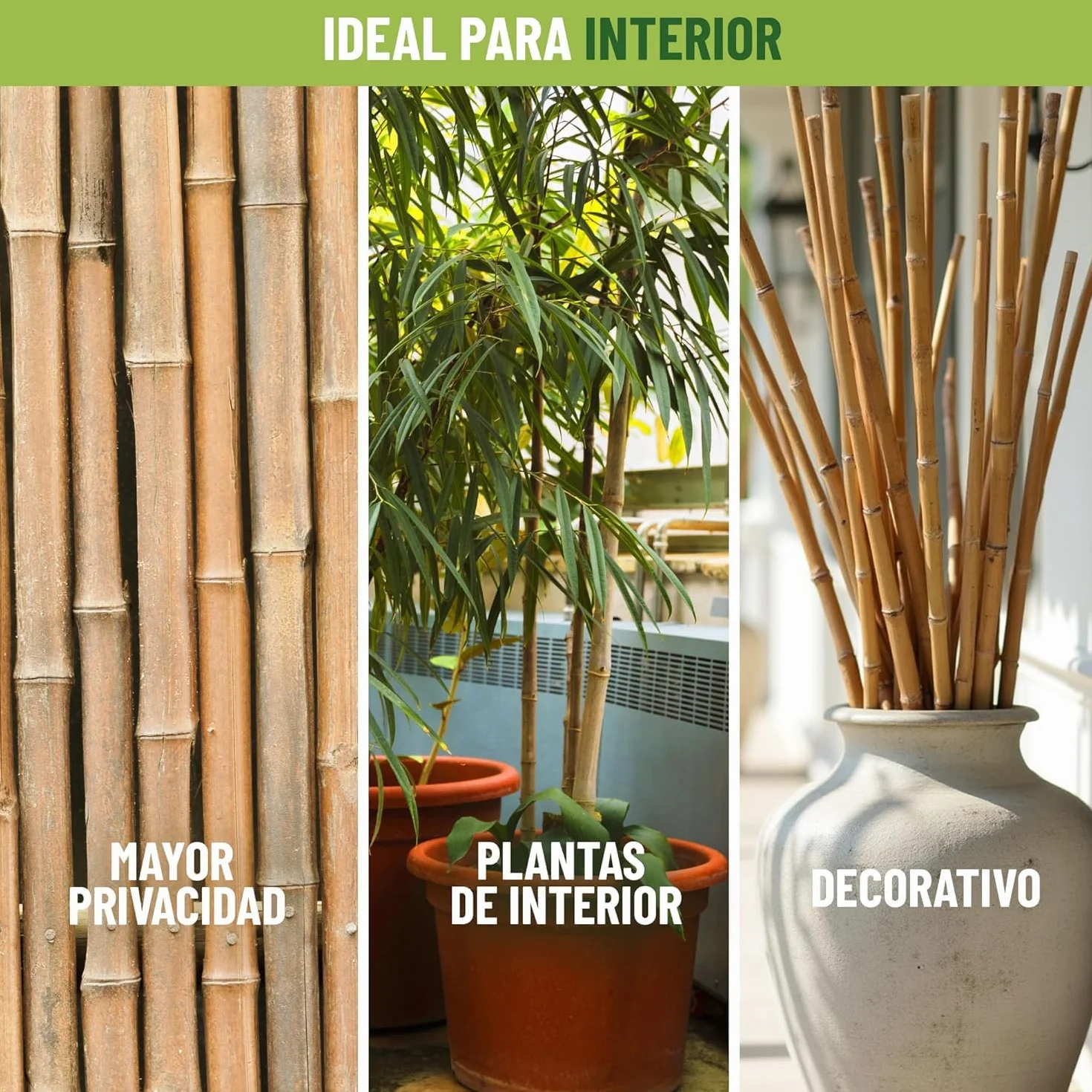 CONTROL GARDEN 30 Tutores de Bambu para Plantas 180 cm Grosor 14-16 cm | Cañas Estacas Natural para Tomateras, Enredaderas y Sujetar Cultivos | Varas Resistentes Huerto y Jardin