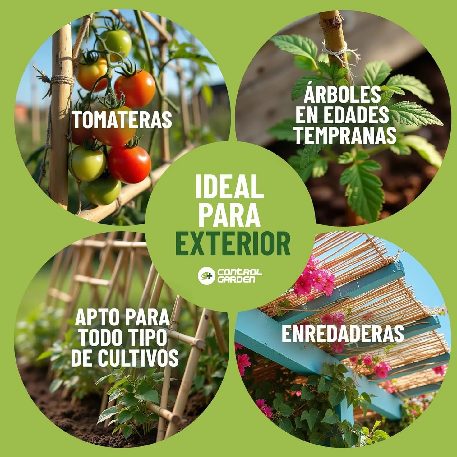 CONTROL GARDEN 30 Tutores de Bambu para Plantas 180 cm Grosor 14-16 cm | Cañas Estacas Natural para Tomateras, Enredaderas y Sujetar Cultivos | Varas Resistentes Huerto y Jardin