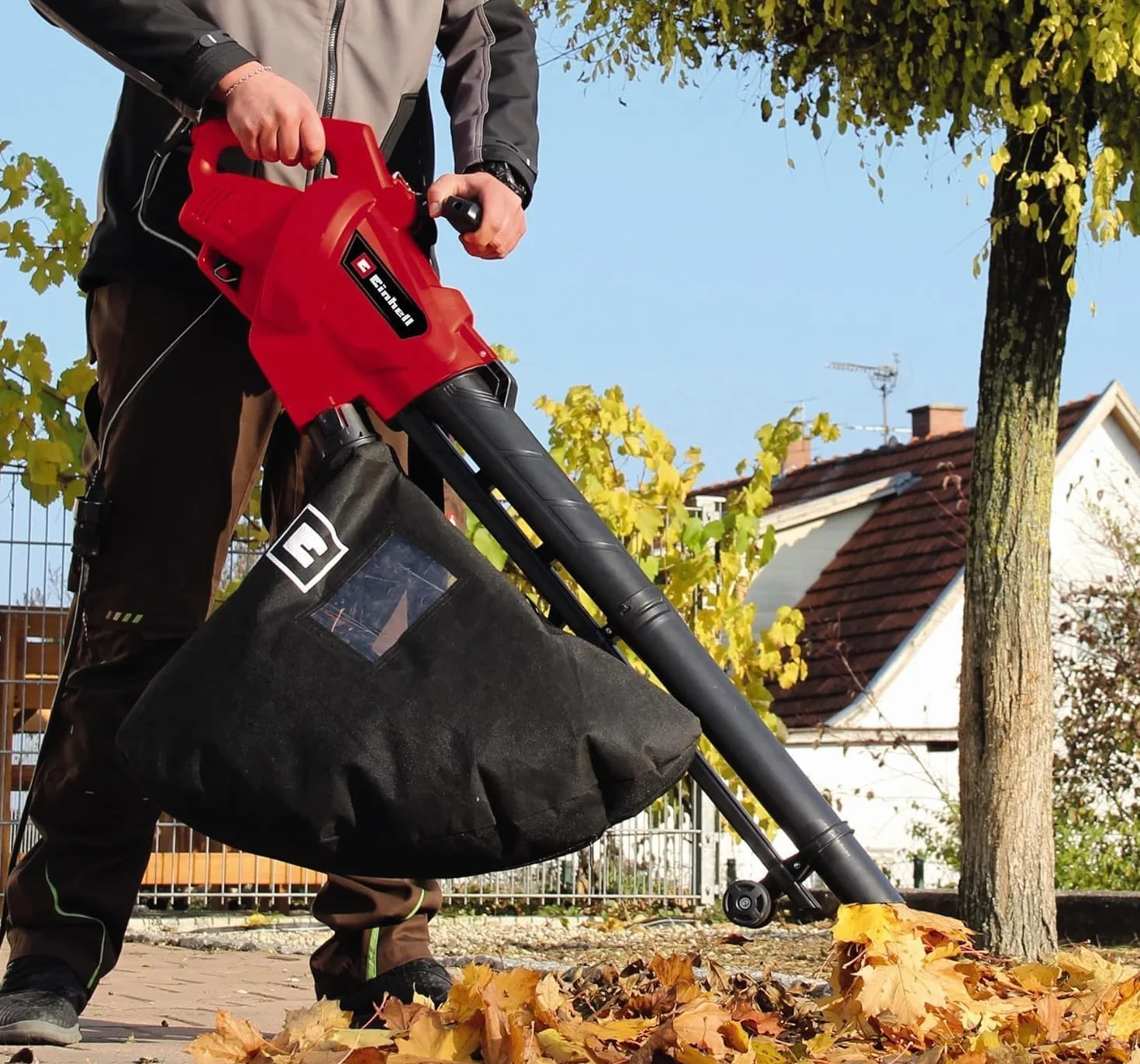 Einhell Aspirador eléctrico de hojas GC-EL 3024 E (aspiración/soplado, tubo de aspiración Ø 75 mm, capacidad 650 m³/h, función de trituración, relación 10:1, soplado 240 km/h, bolsa colectora de 40 l)