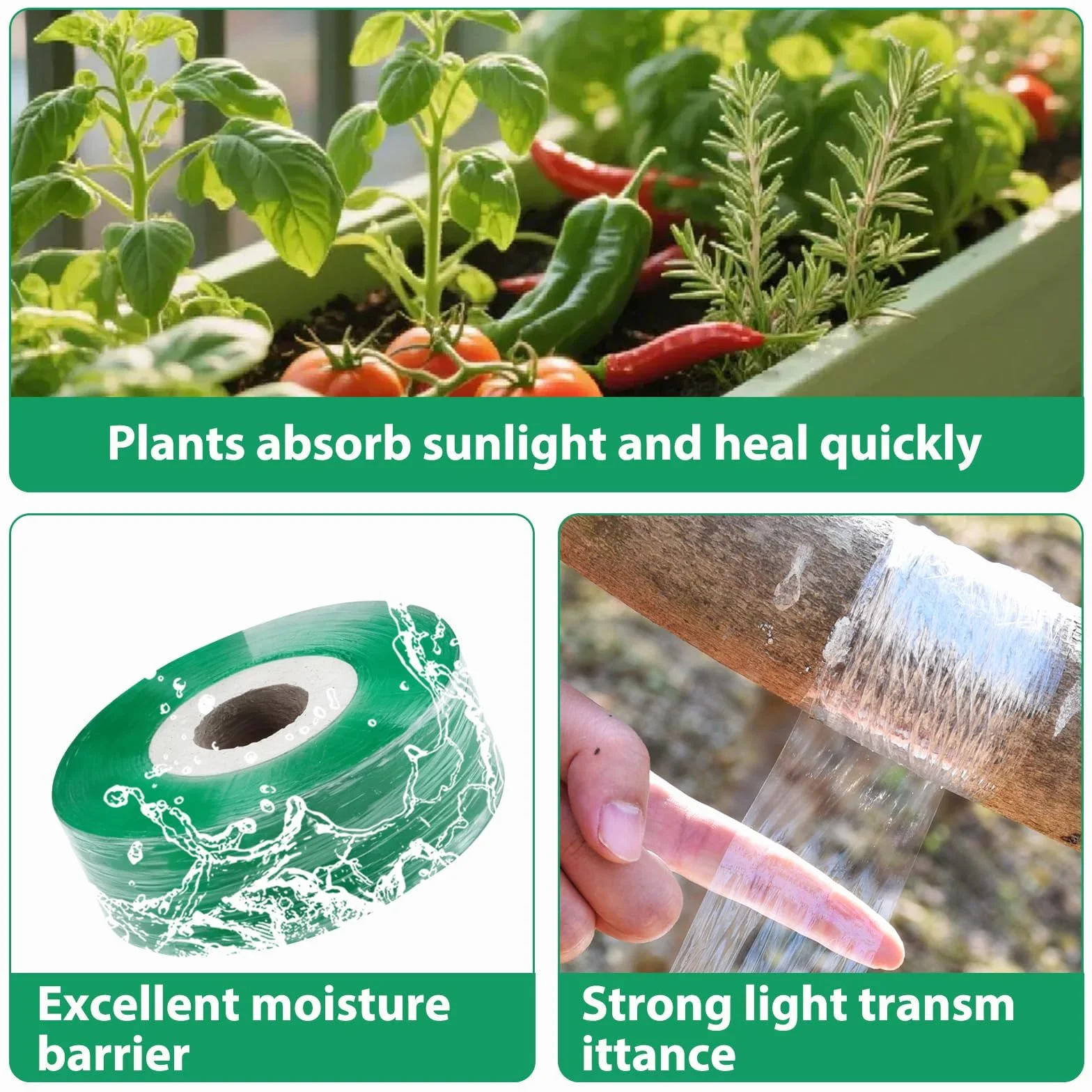 Cinta de Injertar Transparente Árboles de Jardín, 4 Rollos, Biodegradable Cinta Injerto Autoadhesivo, para Árboles Frutales, Plántulas, Flores y Viveros