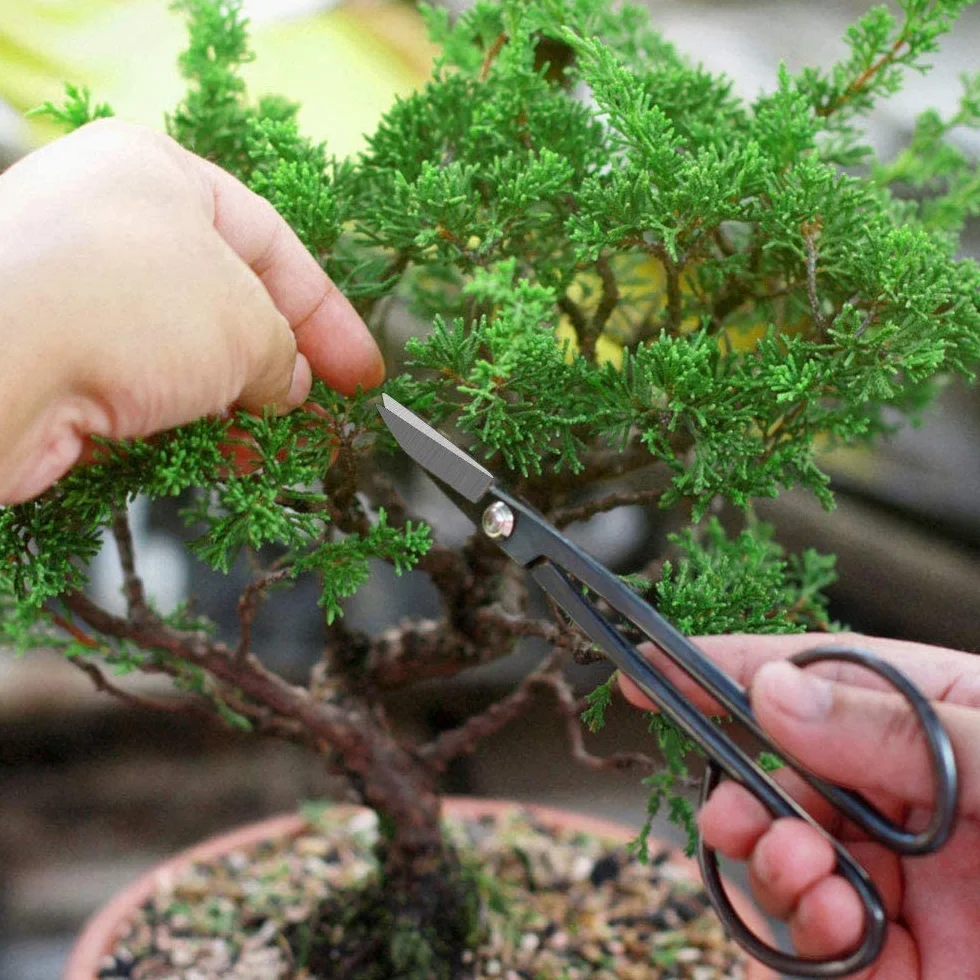 Kit Bonsai, 13 Piezas Herramientas Bonsai Incluyen Tijeras Bonsai, Alambre Bonsai, Mini Rastrillo, Pala y Tijeras de Podar para Jardineria Casera y Plantas de Balcón