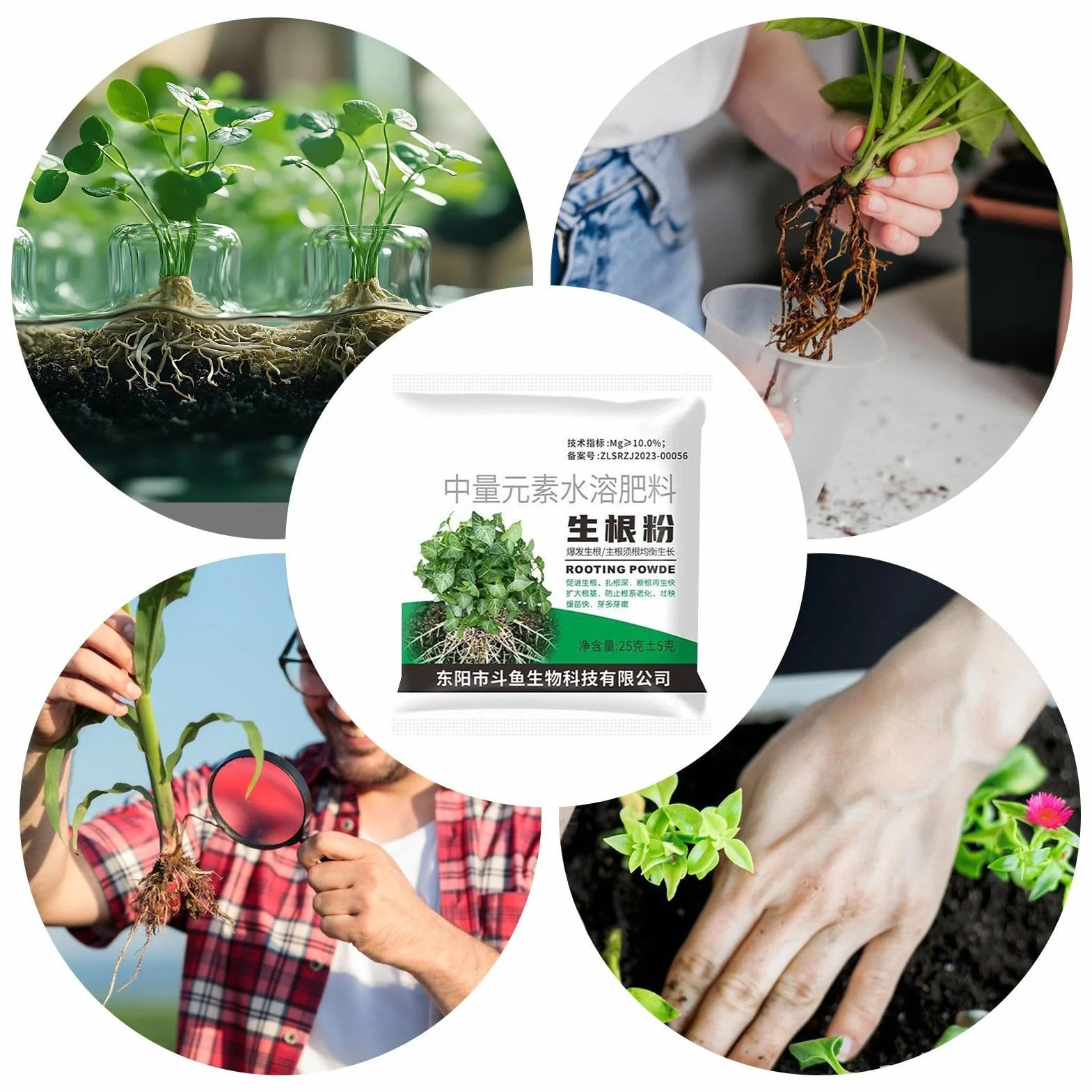 Polvo De Enraizamiento - Fertilizante para Esquejes,Polvo de Raíces para Plantas,para Agricultura Jardín Césped Patio Verduras Frutas Suelo Plantas de Interior
