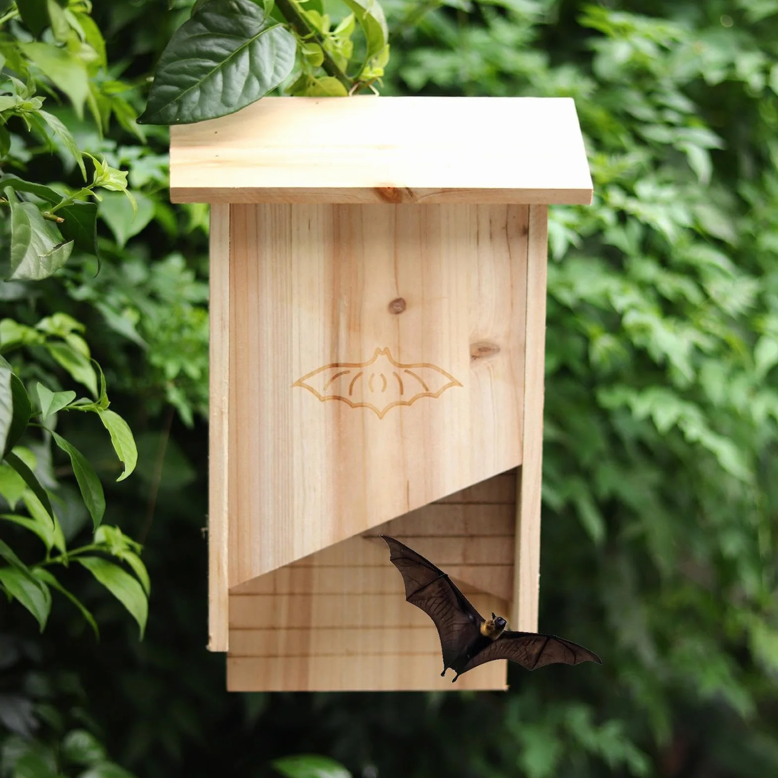 Casas para murciélagos al aire libre | murciélagos resistentes a la intemperie para exteriores | Casa murciélagos madera resistente a la intemperie para exteriores, Pacienjo