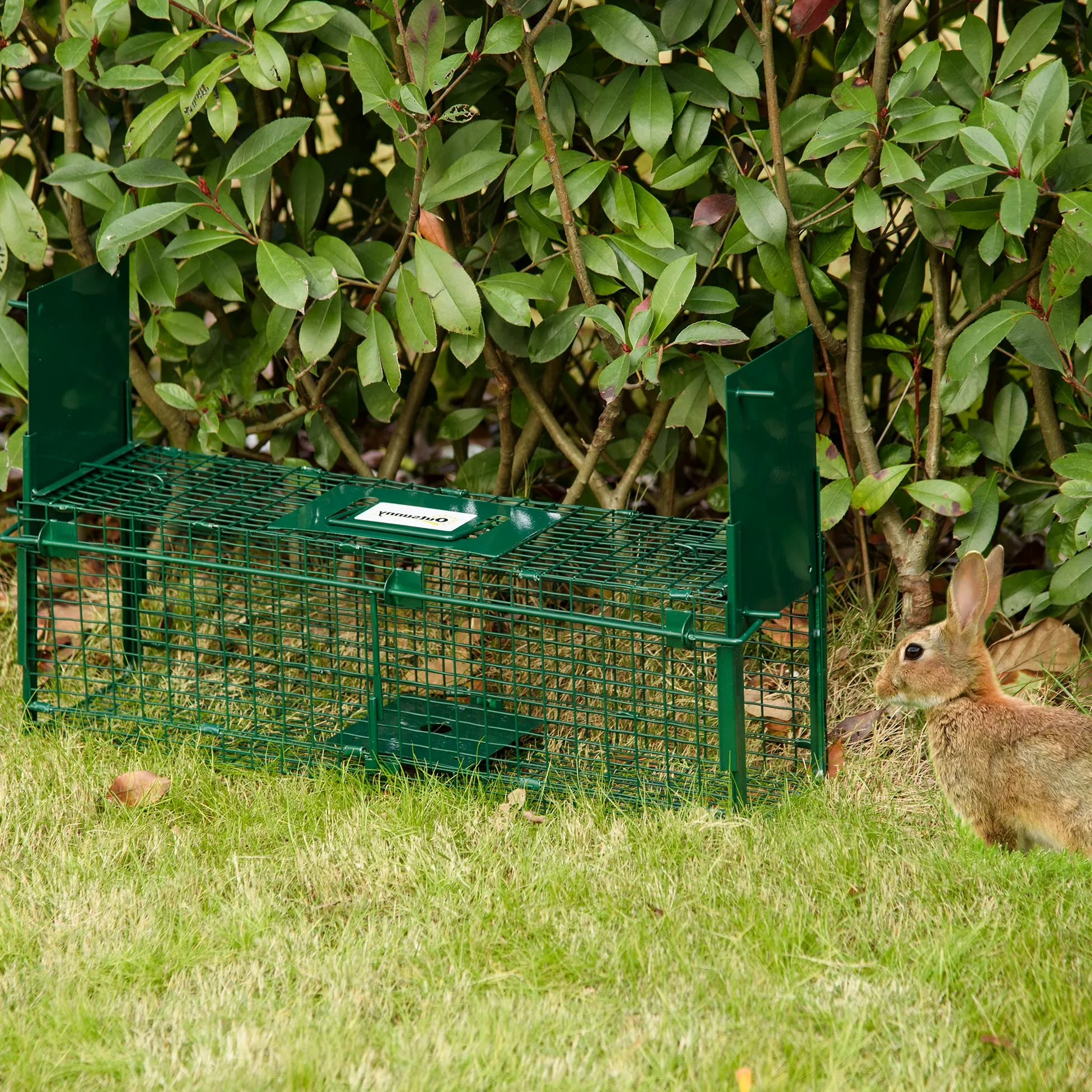 Outsunny Trampa para Animales Vivos 60x18x20 cm Jaula Trampa para Gatos con 2 Puertas Asa y Marco de Acero para Ratones Roedores Verde