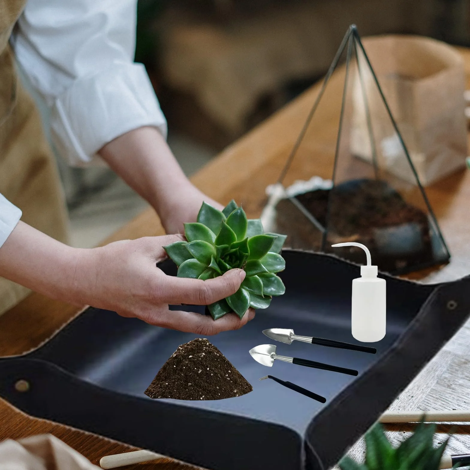 Juego de Herramientas para Bonsái,Herramientas para Plantas Suculentas Set,Mini Herramientas de Jardín para Trasplante,el Cuidado de Plantas en Miniatura
