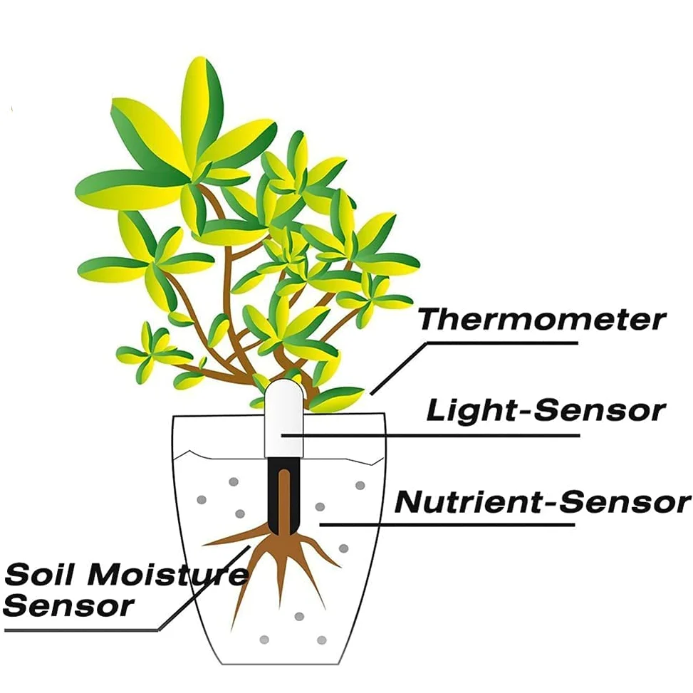 Medidor de humedad del suelo 4 en 1, monitor de agua para plantas, detecta automáticamente humedad/temperatura/luz/fertilidad, se puede conectar al teléfono móvil a través de Bluetooth, sensor
