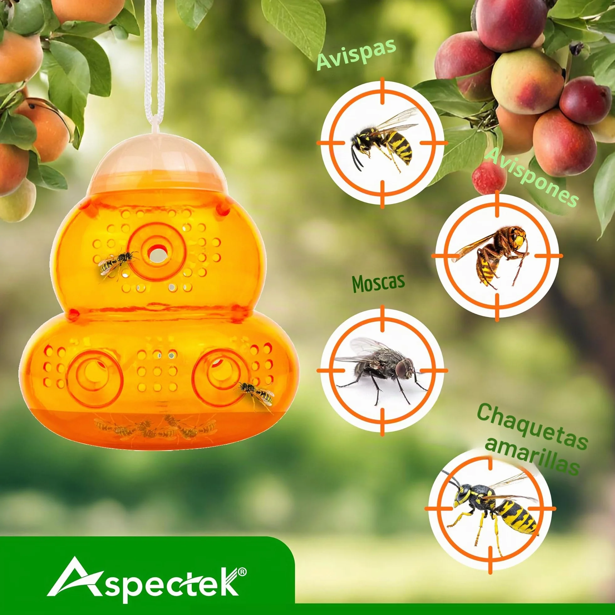 ASPECTEK Trampa para Avispas Trampa para Avispón, Abeja y Avispa Abejorro. 2 Unidades (Trampa de Abeja)