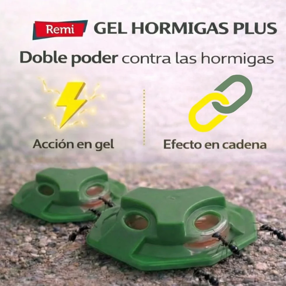 Remi Hogar Defens Gel Hormigas | Pack 4 Trampas Insecticida Hormigas | Cebo Insecticida Listo para Usar | Elimina Hormigas y el Hormiguero | Uso Interior y Exterior | Alta eficacia | Listo para Usar