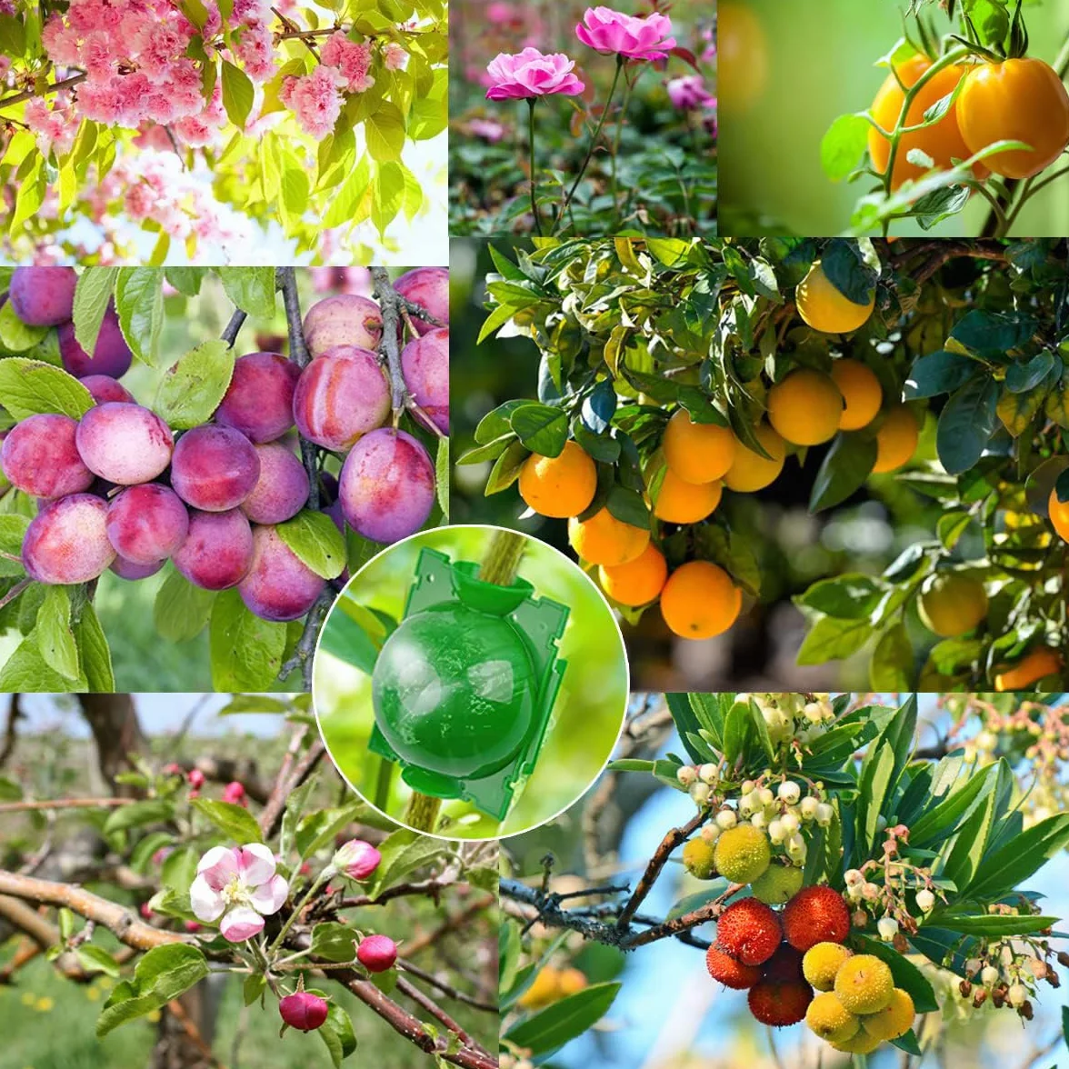 20 Piezas Dispositivos de Enraizamiento de Plantas, Caja de Cultivo de Raíces de Plantas Reutilizables con 20 Bridas de Cable para Injertar y Echar Raíces en Jardines (S+M+L) (Verde)