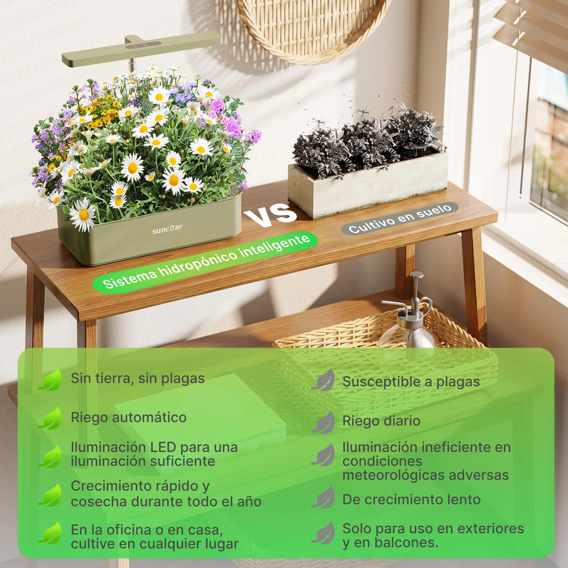 SUNCOZE Sistema de Cultivo Hidropónico Kit de Cultivo Interior con Iluminación LED Automática, Smart Garden 12 Pods, Altura Regulable, depósito de Agua de 4 l, Bomba silenciosa