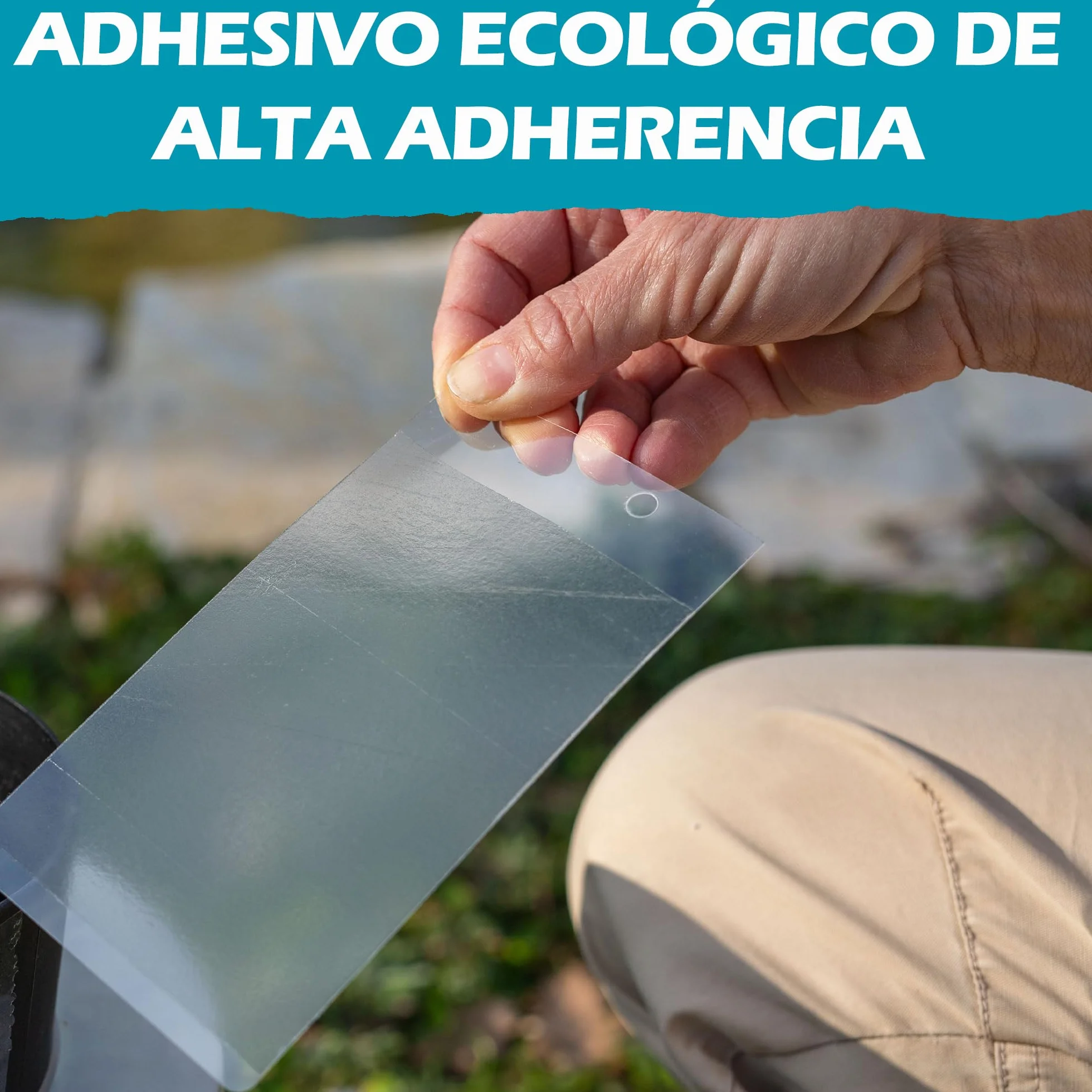 Mostiky: 30 Tarjetas Adhesivas compatibles con Biogents BG-GAT. Paquete de 30 Tarjetas Adhesivas para capturar Mosquitos Tigre Antes de Que pongan Sus Huevos.