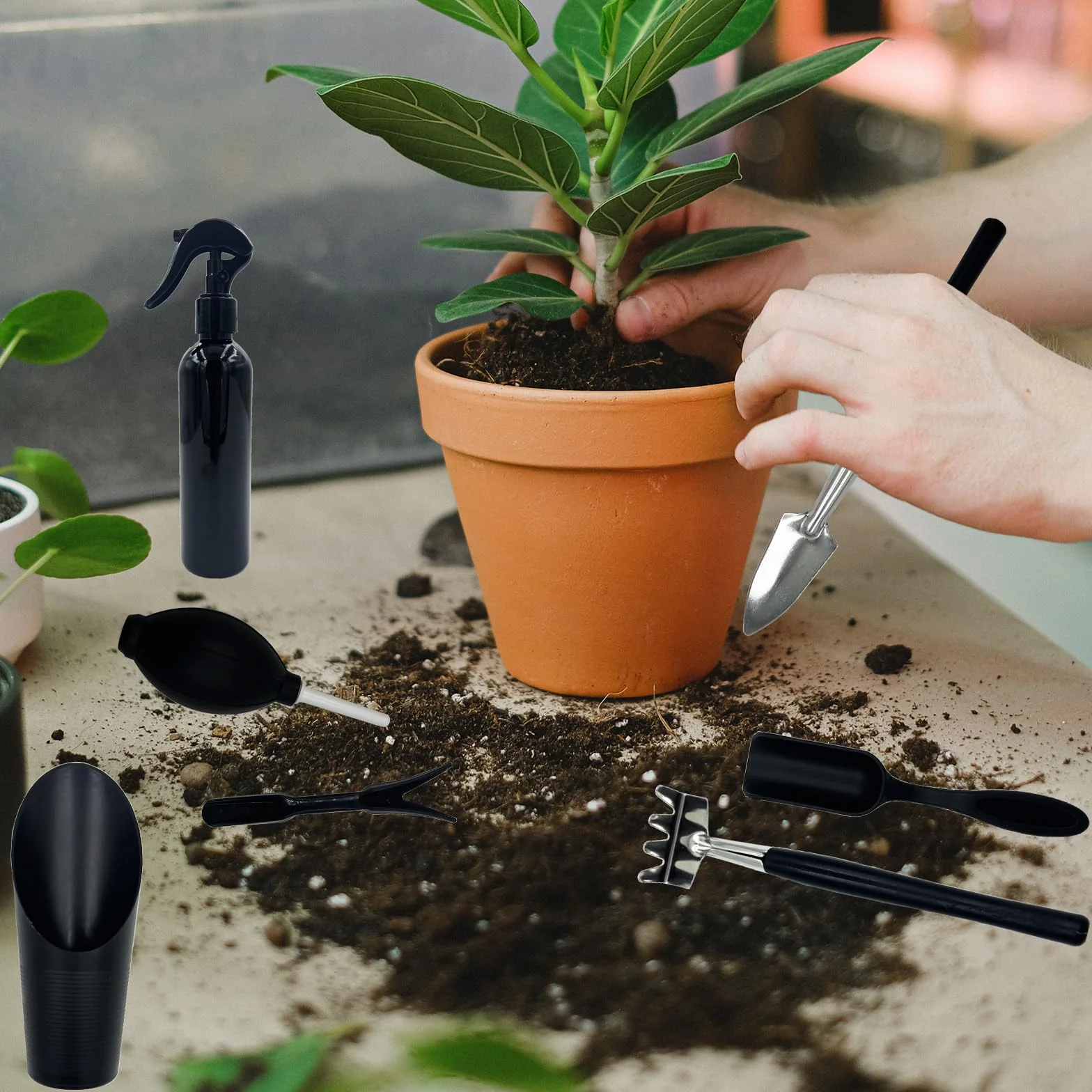 Juego de Herramientas para Bonsái,Herramientas para Plantas Suculentas Set,Mini Herramientas de Jardín para Trasplante,el Cuidado de Plantas en Miniatura